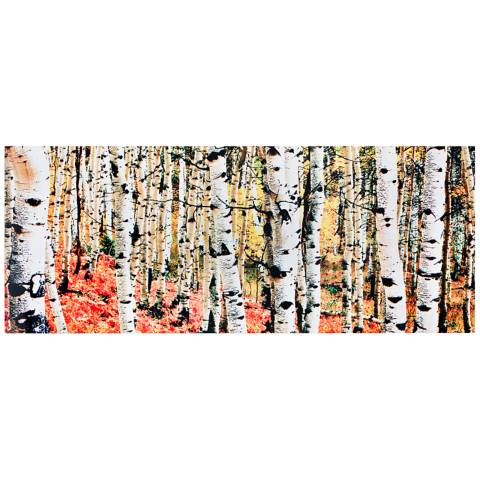 Aspen Grove Autumn Fall 48