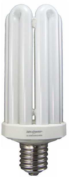 16 Watt Energy Saving E26 Base CFL Bulb 03484 Lamps Plus