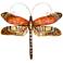 Eangee Dragonfly 14"W Multi-Color Red Capiz Shell Wall Decor