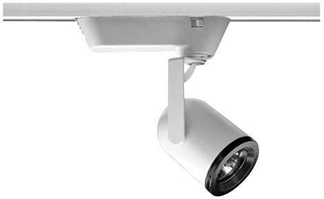 low back pain causes in males