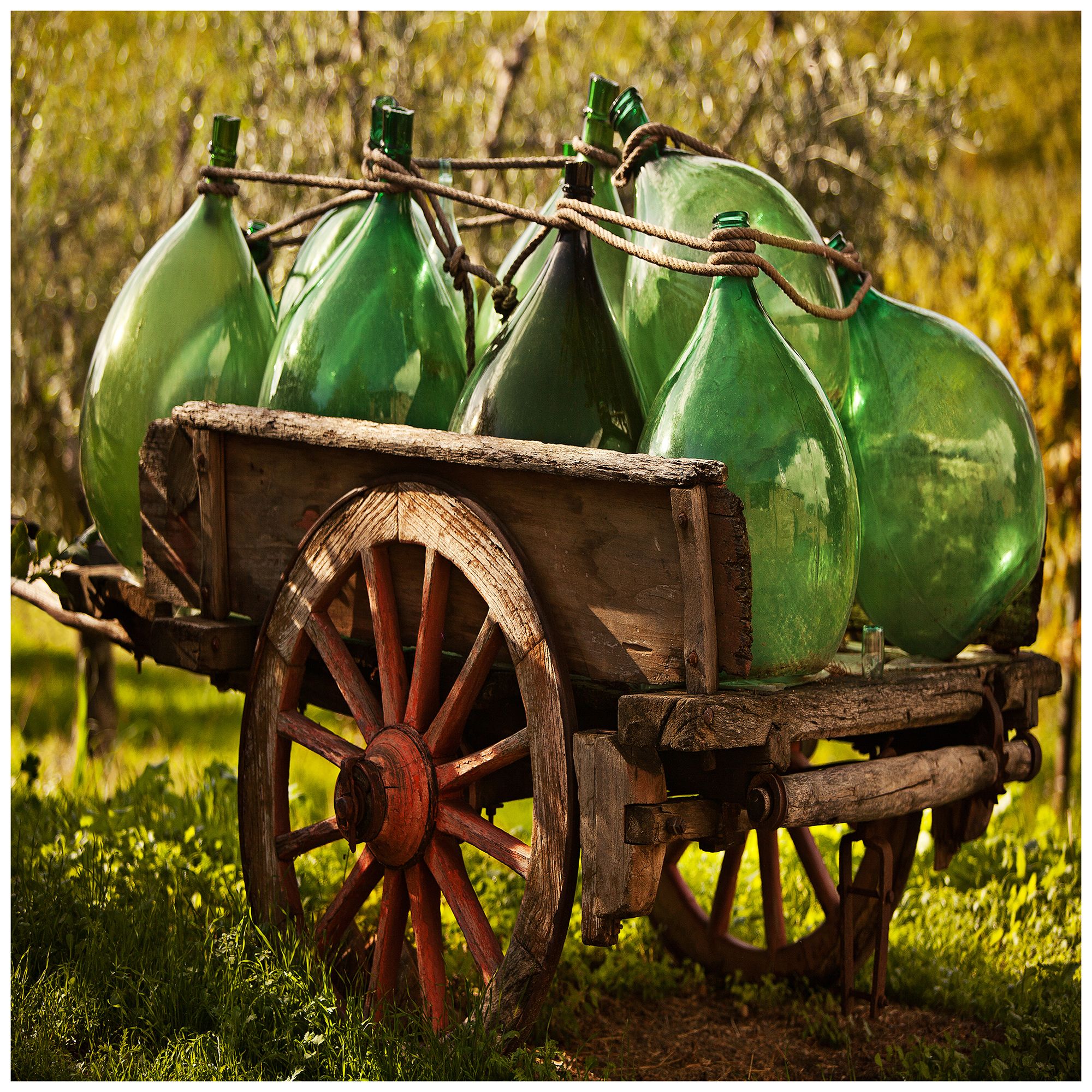 Vino Carrello 24" Square Indoor-Outdoor Giclee Wall Art