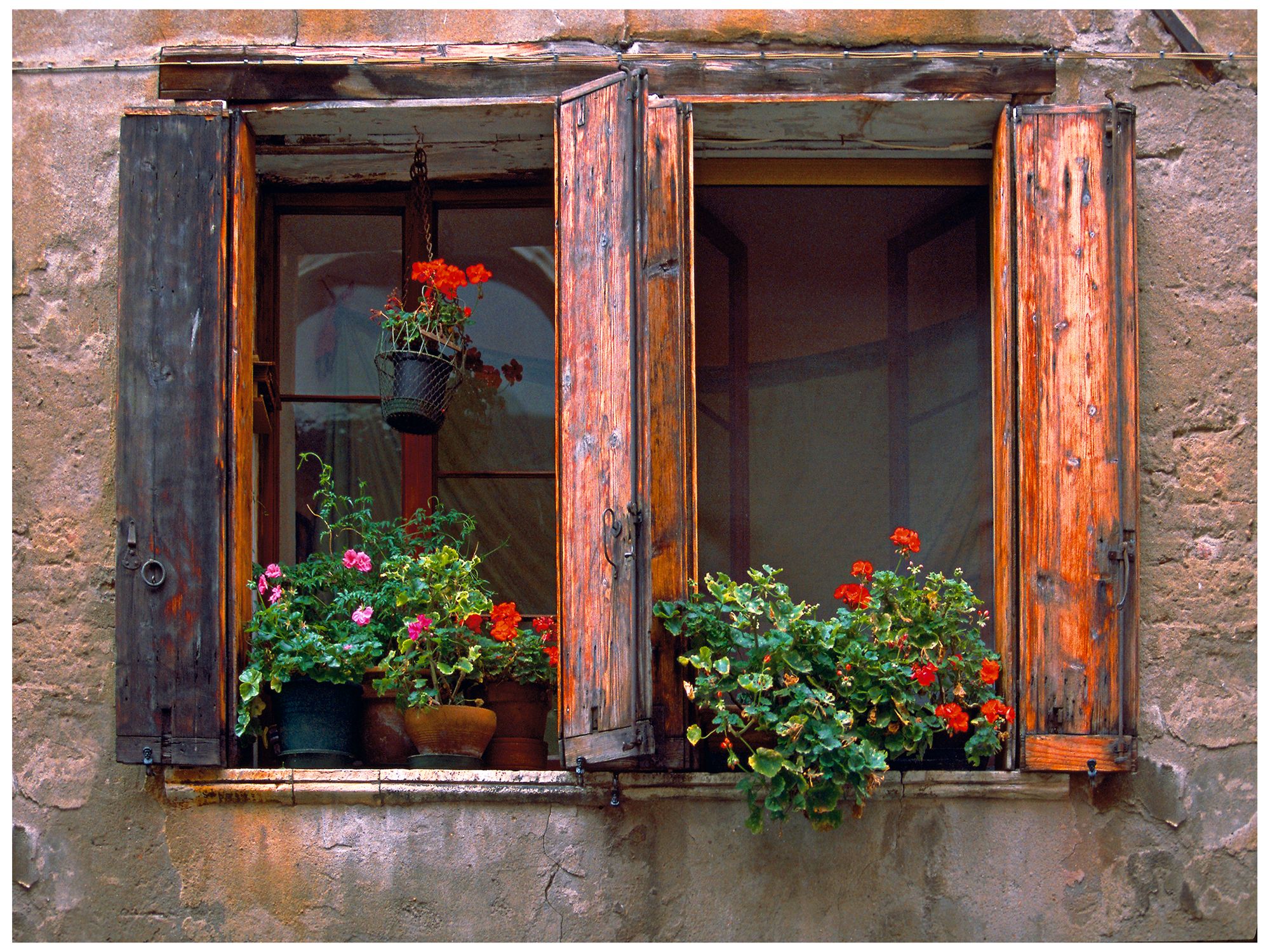 Due 40" Wide All-Weather Indoor-Outdoor Giclee Wall Art