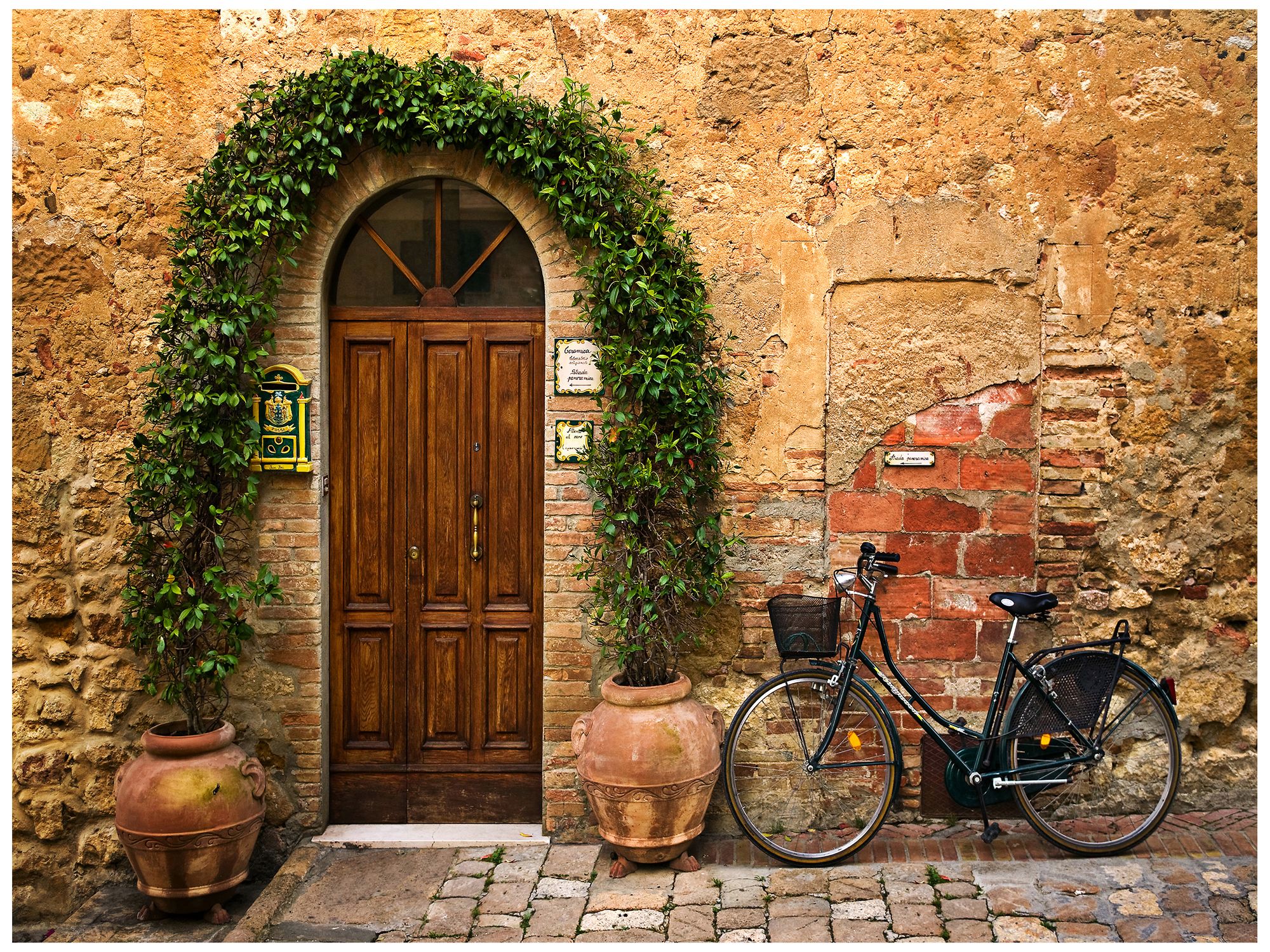 Bicletta 40" Wide All-Weather Indoor-Outdoor Wall Art