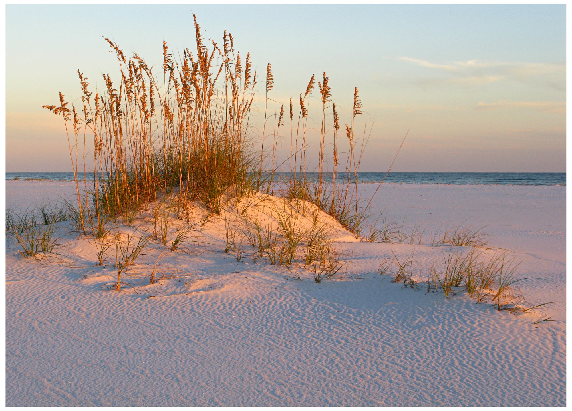 Sea Oats & Sand 40" Wide All-Weather Indoor-Outdoor Wall Art