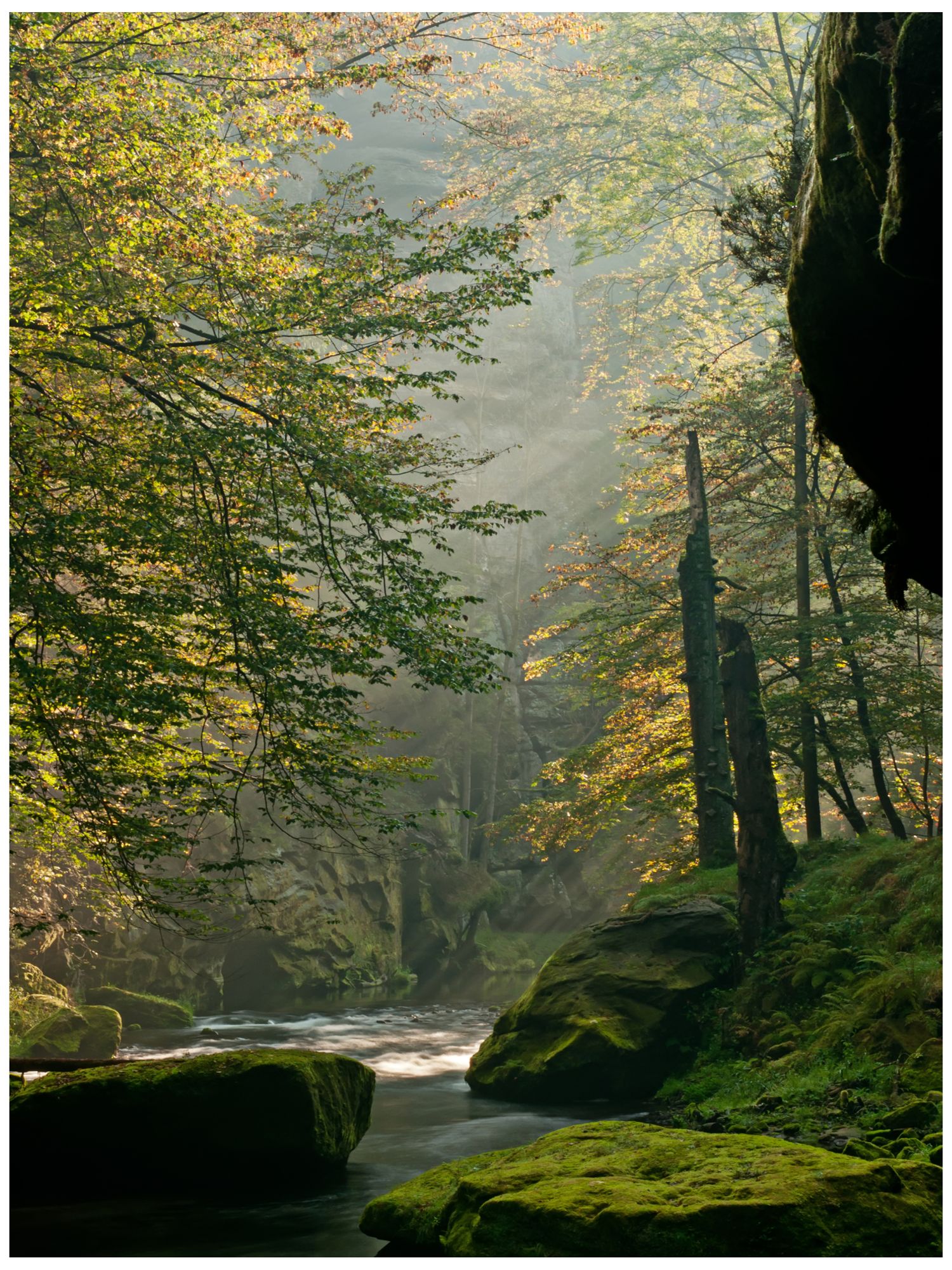 Sunlit Stream 40" High All-Season Indoor-Outdoor Wall Art