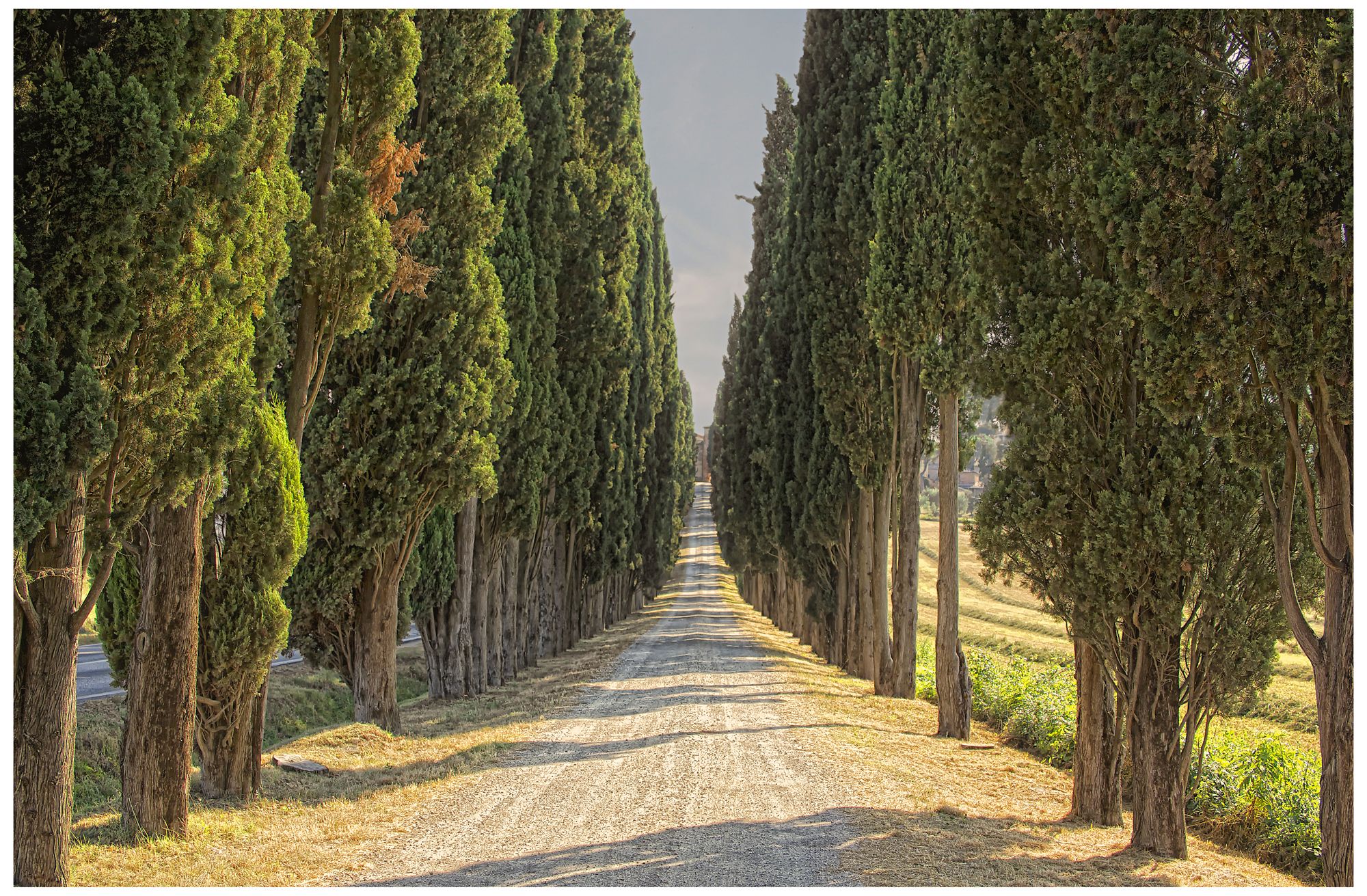 Almost A Mile 40" Wide All-Season Indoor-Outdoor Wall Art