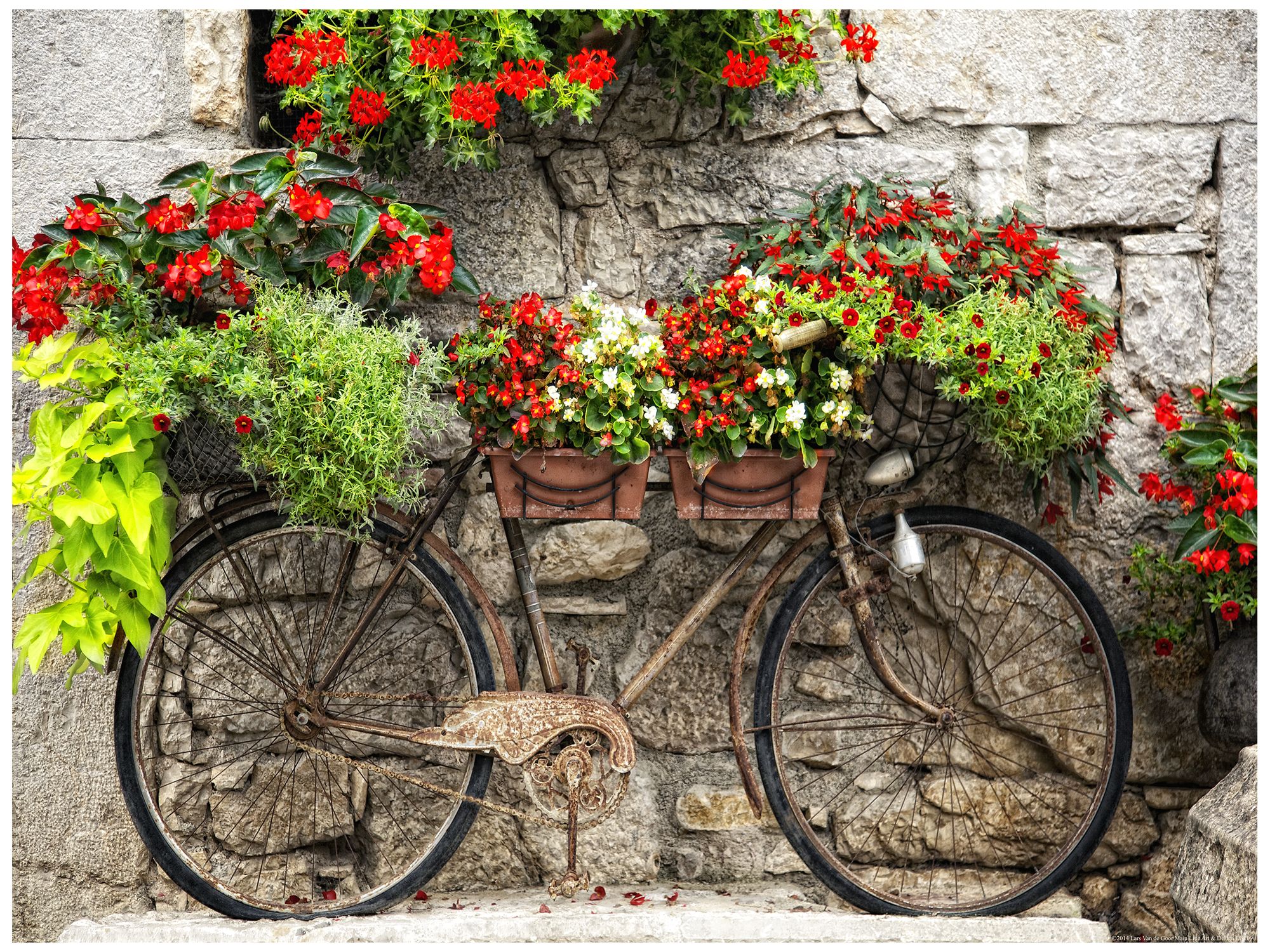 Rusty Bicyclette 40" Wide All-Weather Indoor-Outdoor Wall Art