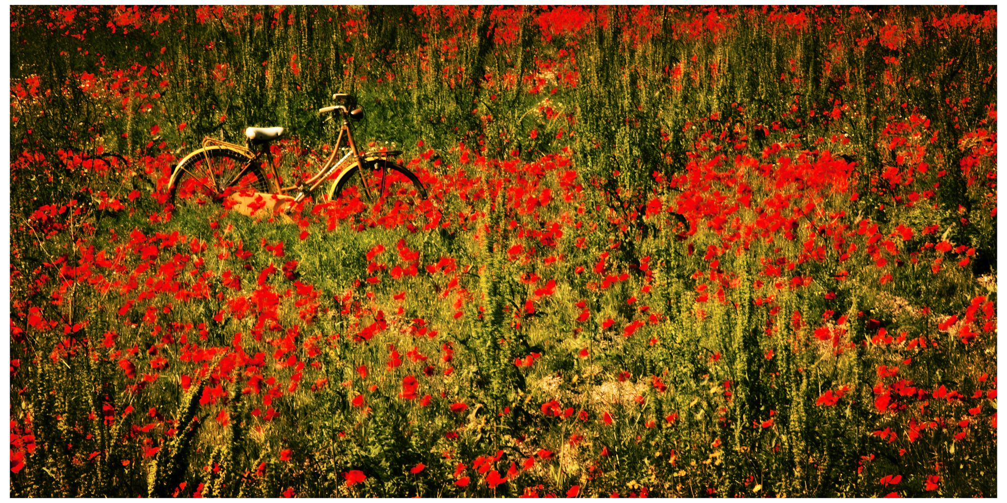 Wet Paint 48" Wide All-Weather Indoor-Outdoor Wall Art