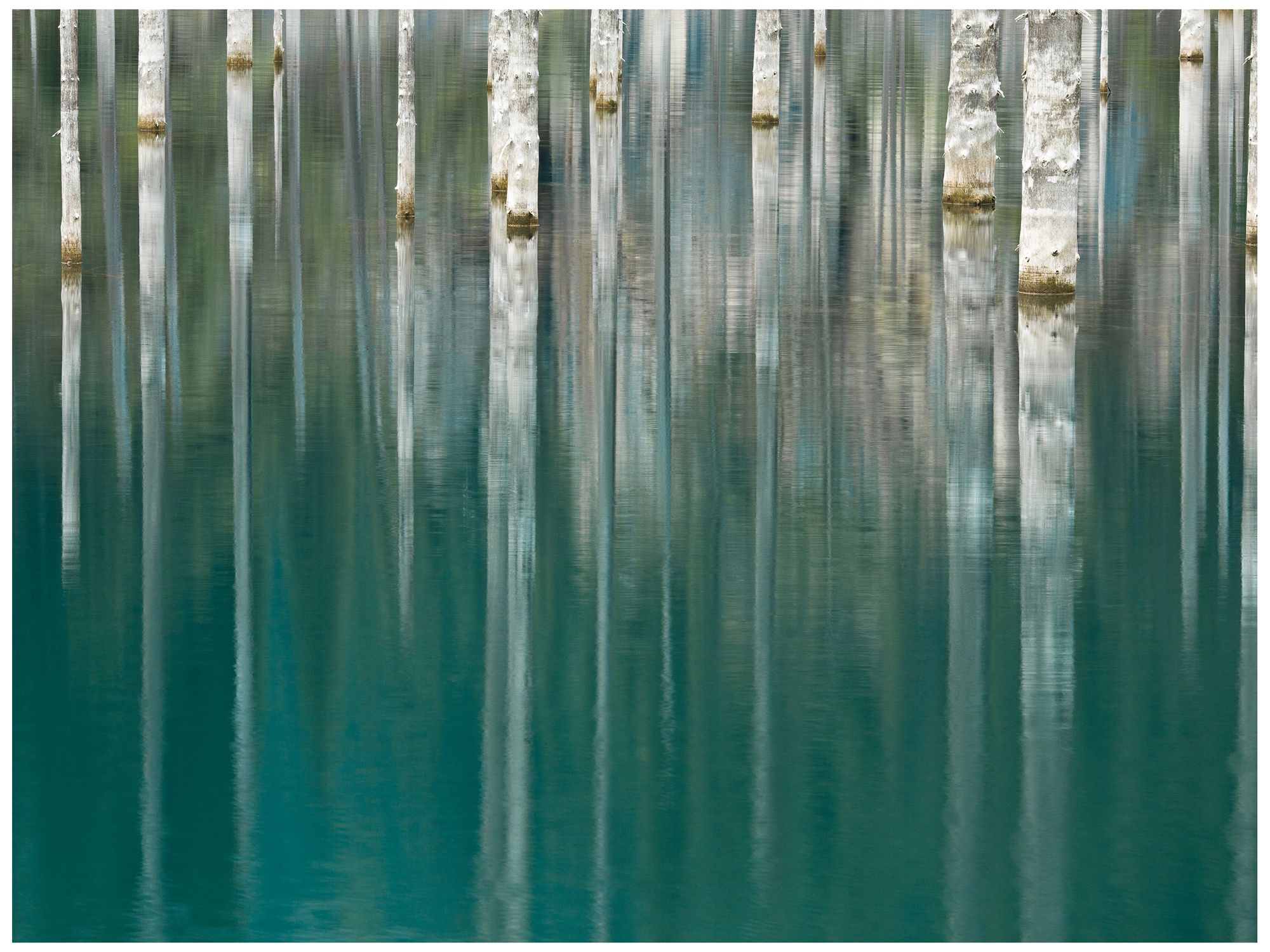 Silver Lake 40" Wide All-Season Outdoor Canvas Wall Art