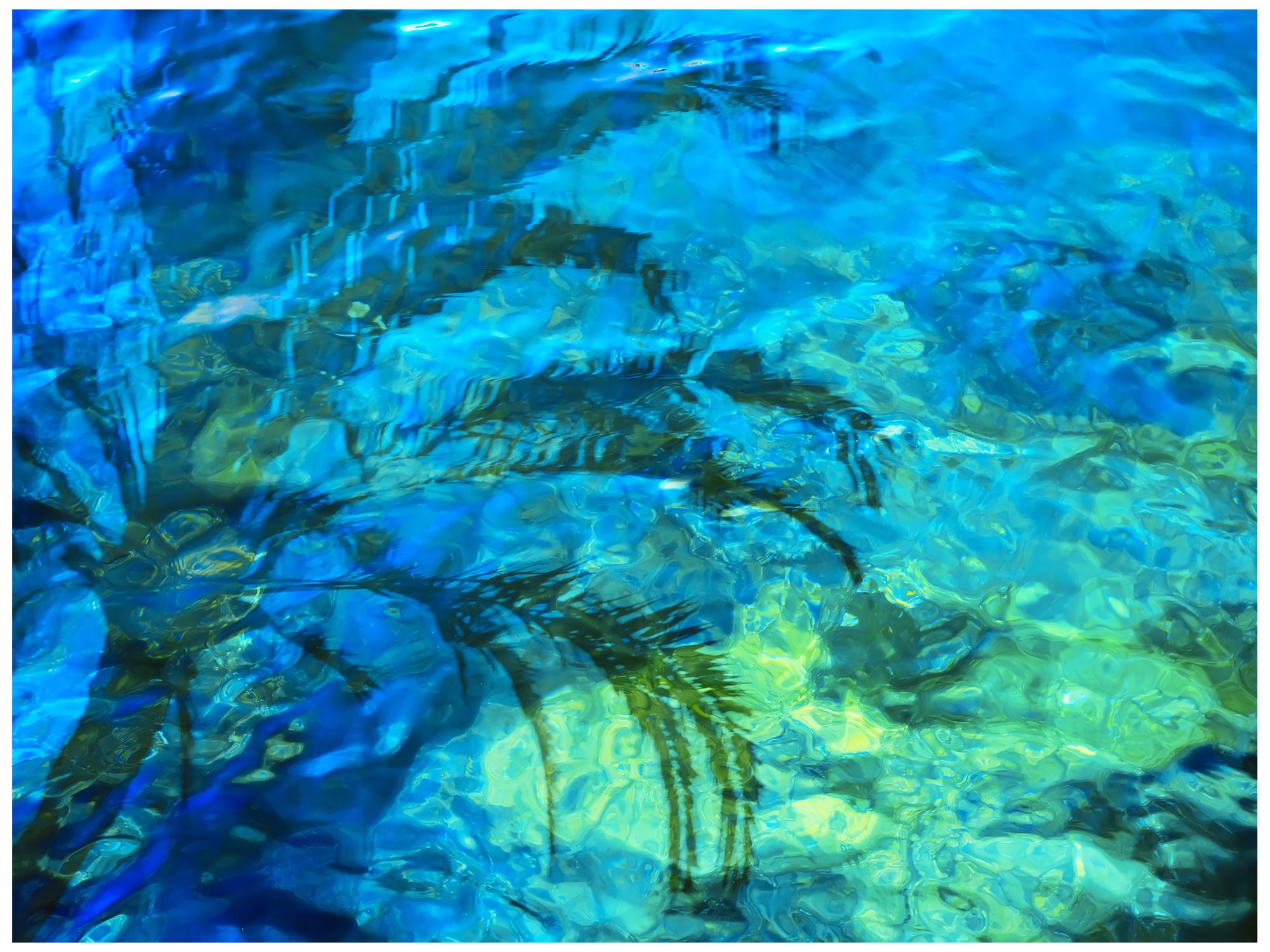 Palm Reflection 40"W All-Season Outdoor Canvas Wall Art