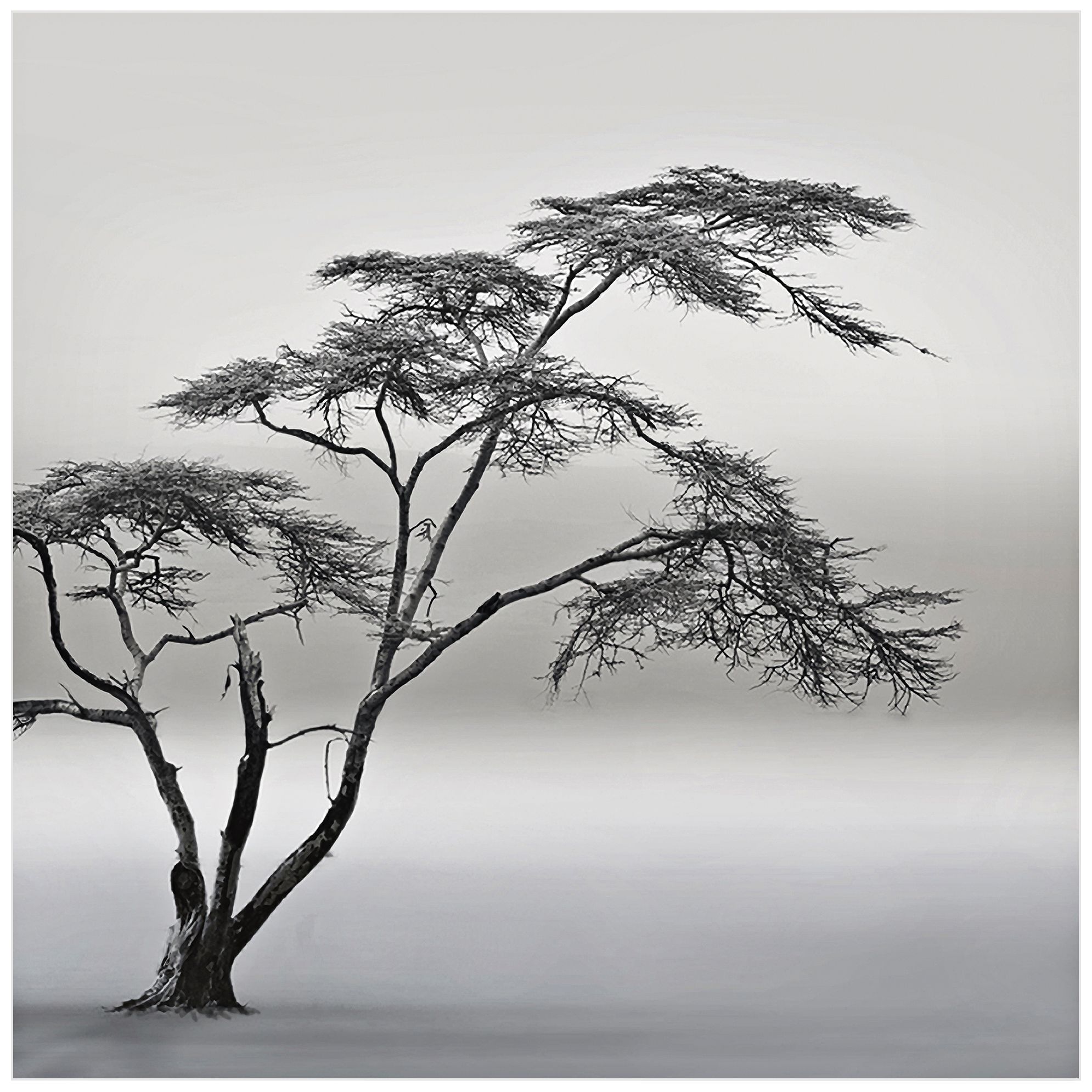 A Very Long Story 22" Square Wall Art Print