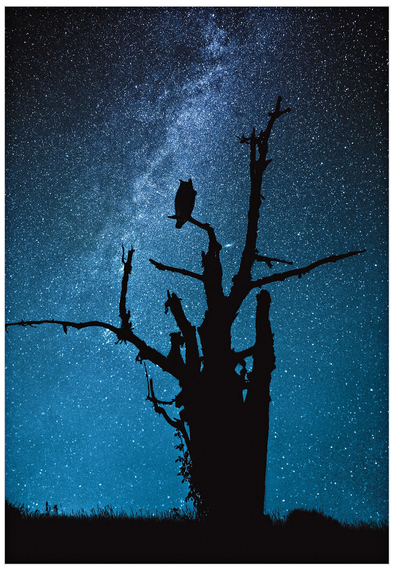 Alone in the Dark 32" High Wall Art Print