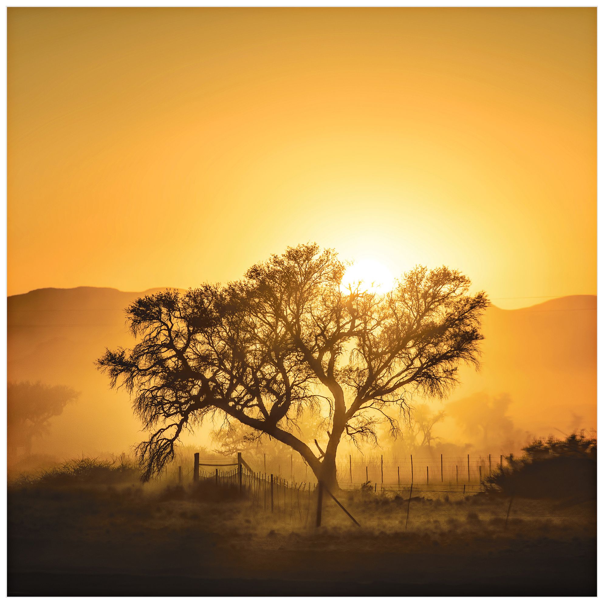 Golden Sunrise 22" Square Wall Art Print