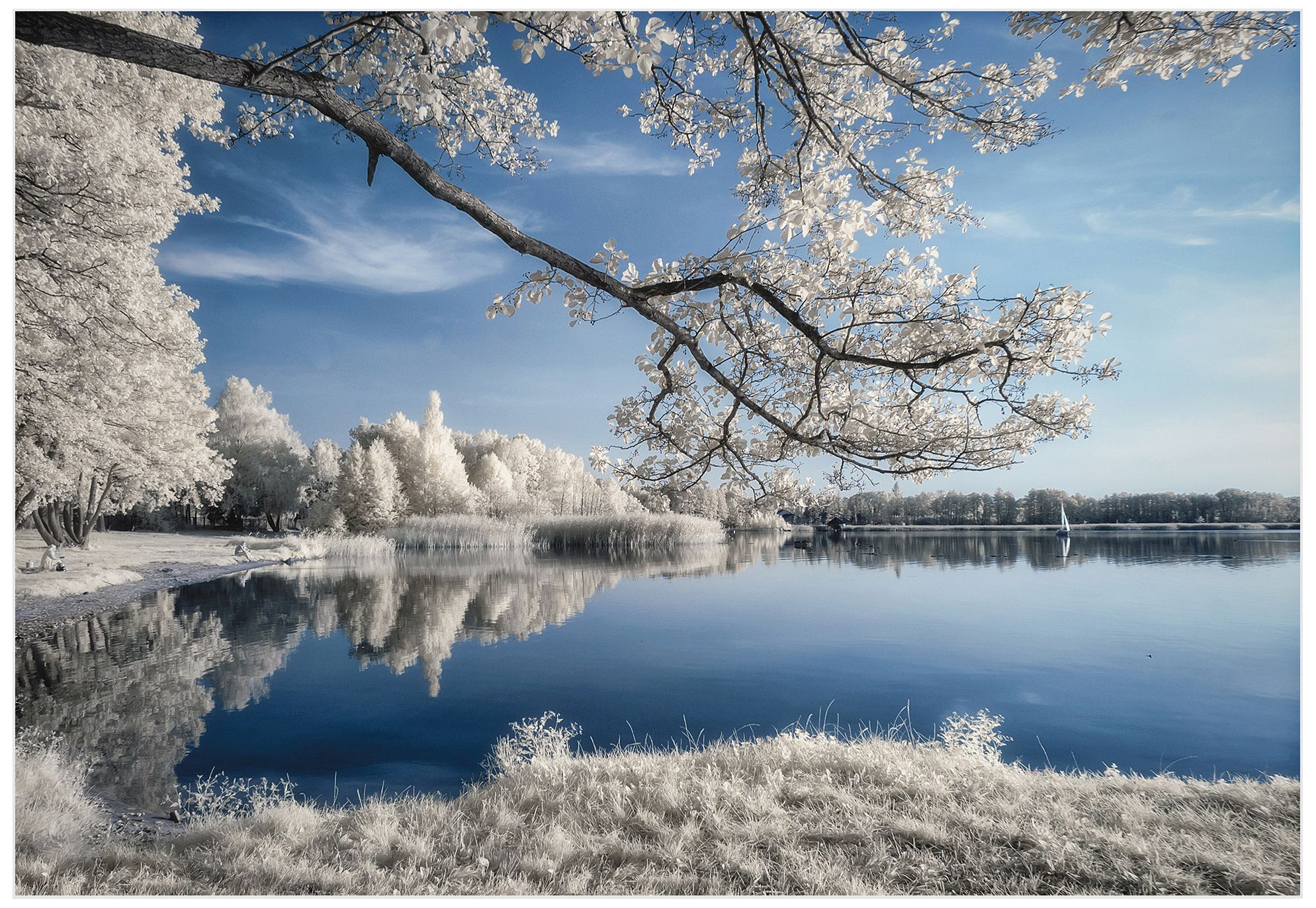 Lakeside Wonderland 32" Wide Wall Art Print