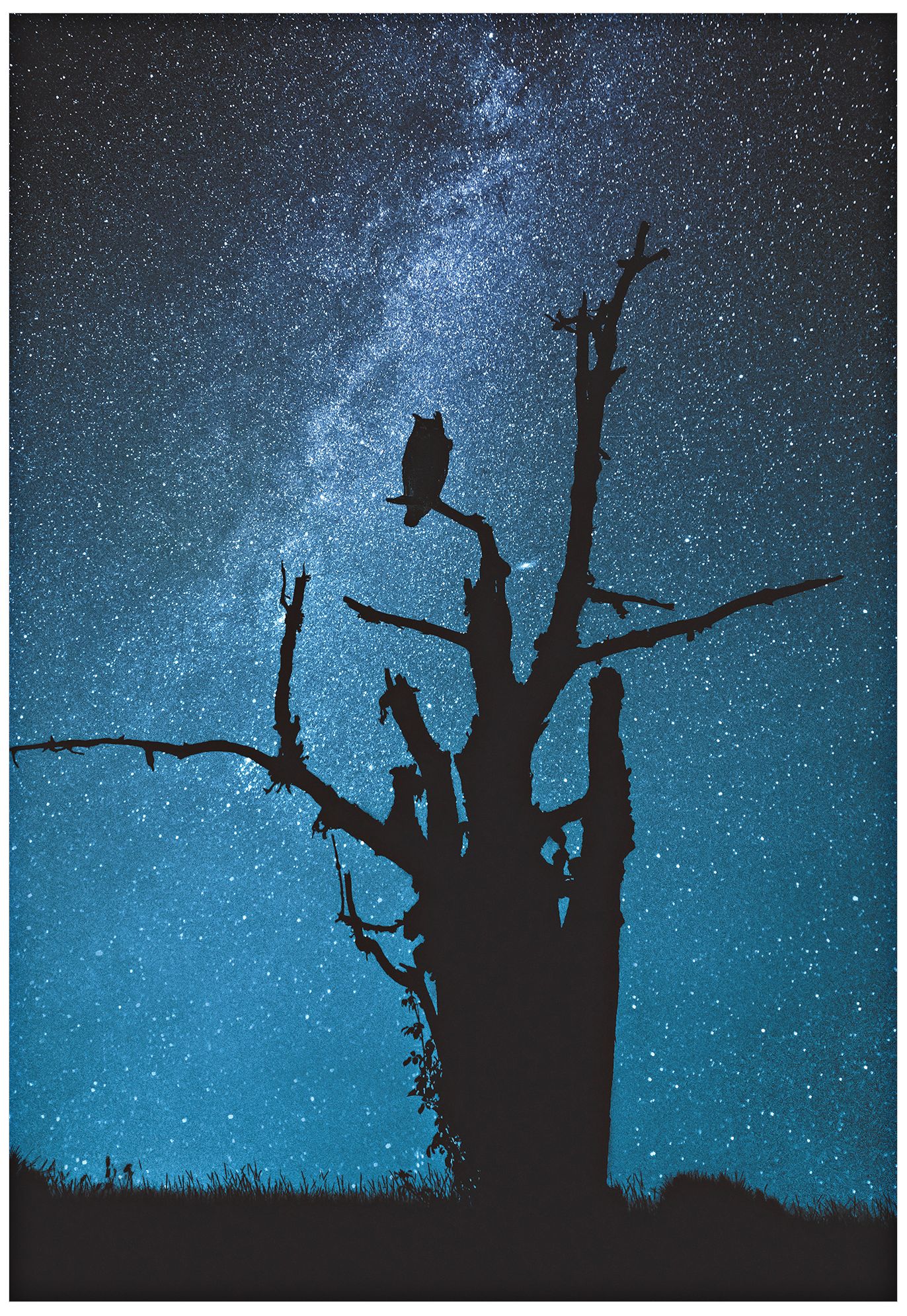 Alone in the Dark 32" High Giclee Metal Wall Art