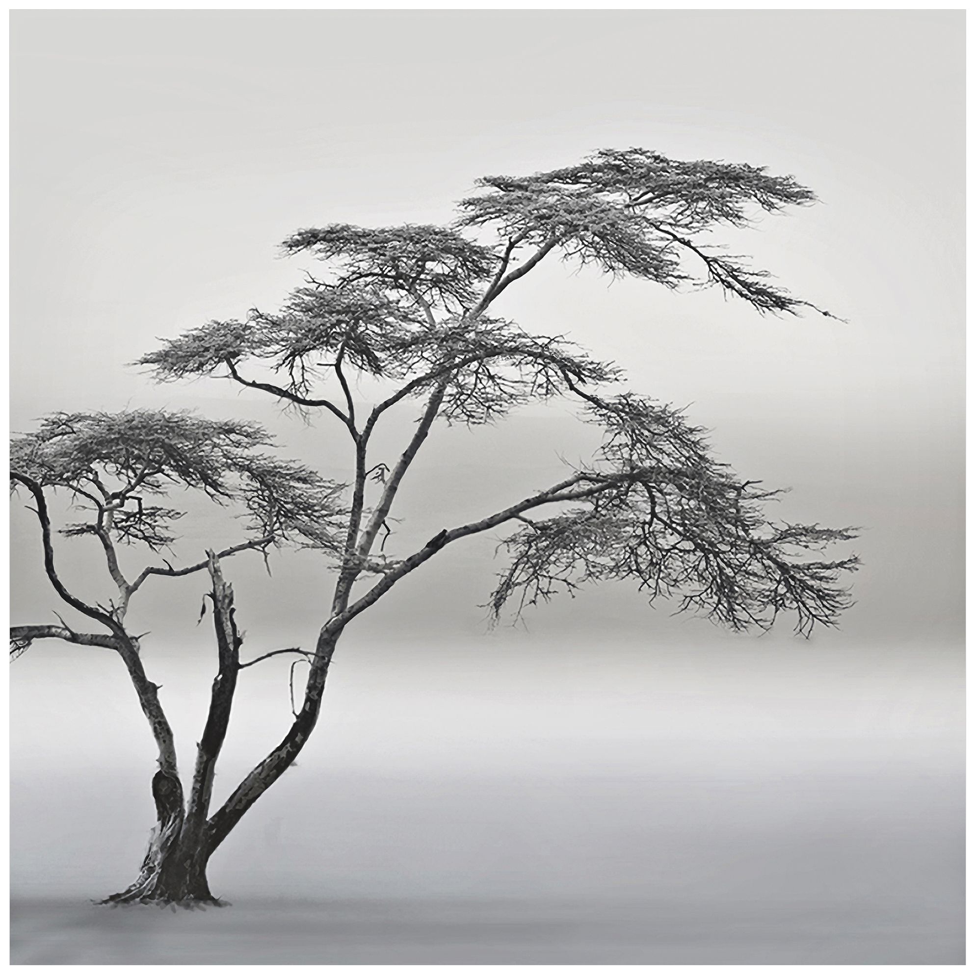 A Very Long Story 22" Square Giclee Metal Wall Art