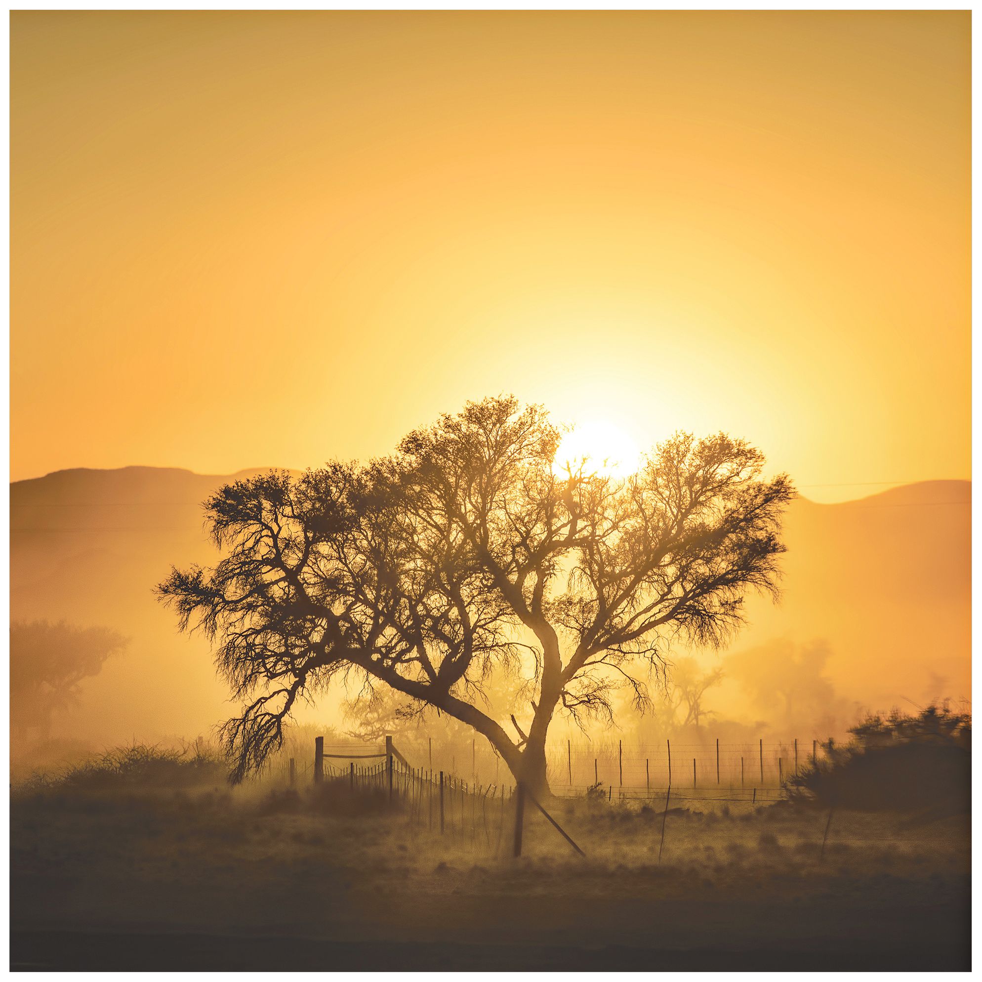 Golden Sunrise 22" Square Giclee Metal Wall Art