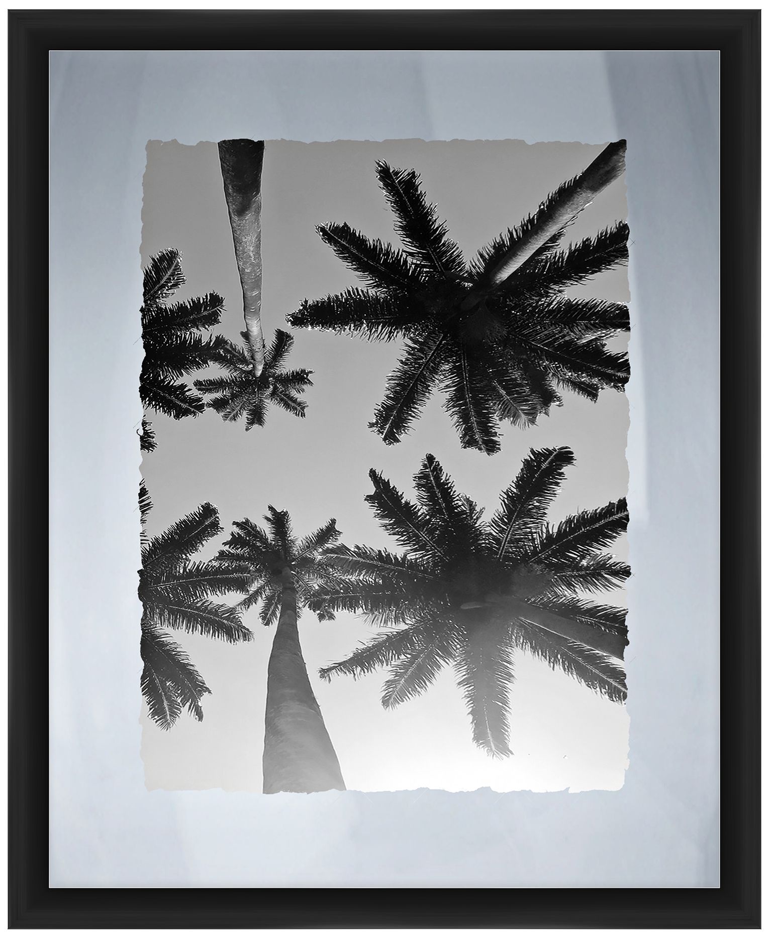 Palms 22" High Framed Giclee Wall Art