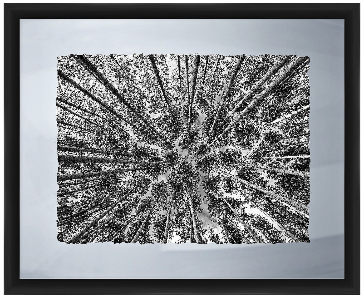 Looking To The Trees 22" Wide Framed Giclee Wall Art