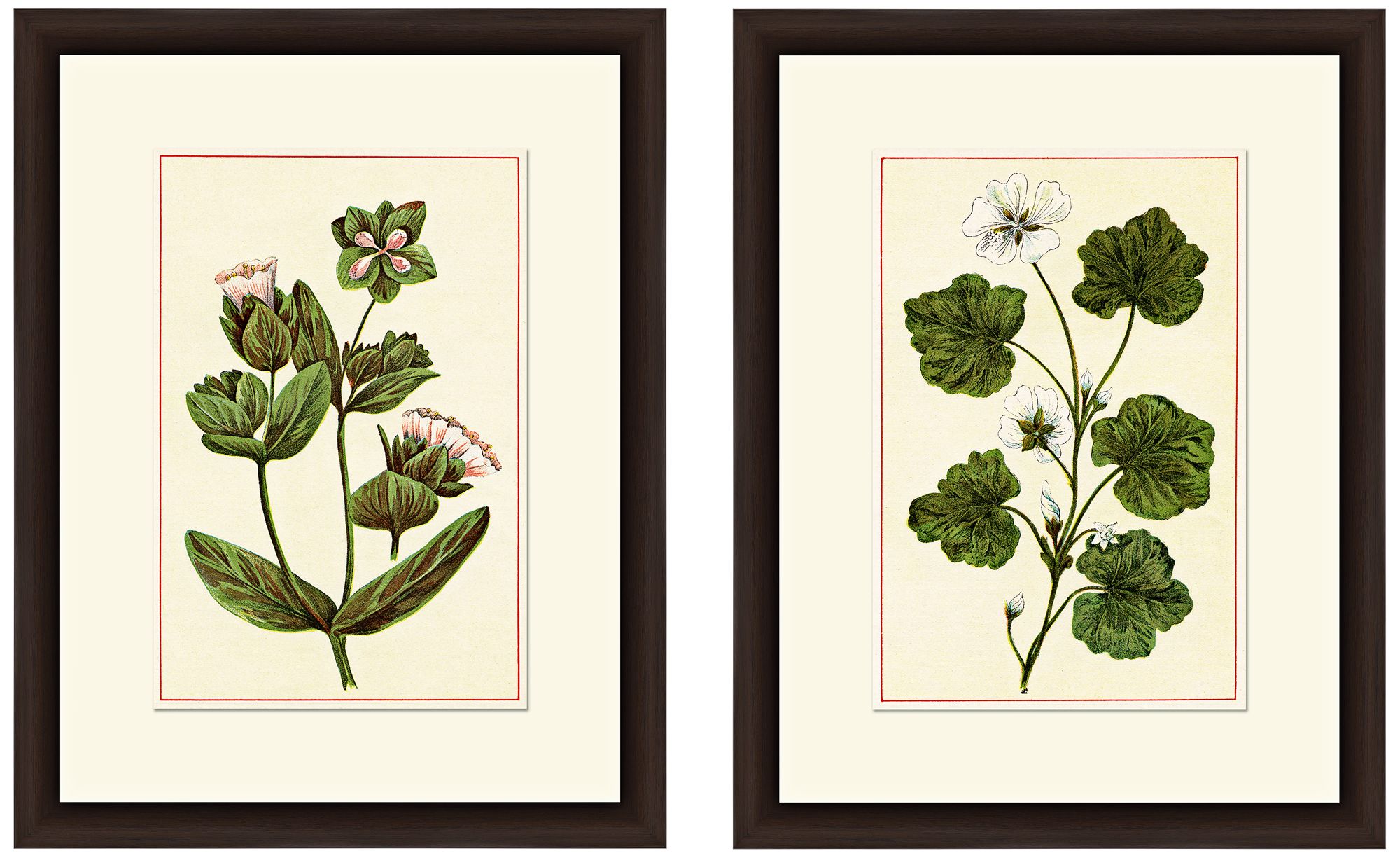 Botanicals 18" High 2-Piece Giclee Framed Wall Art Set