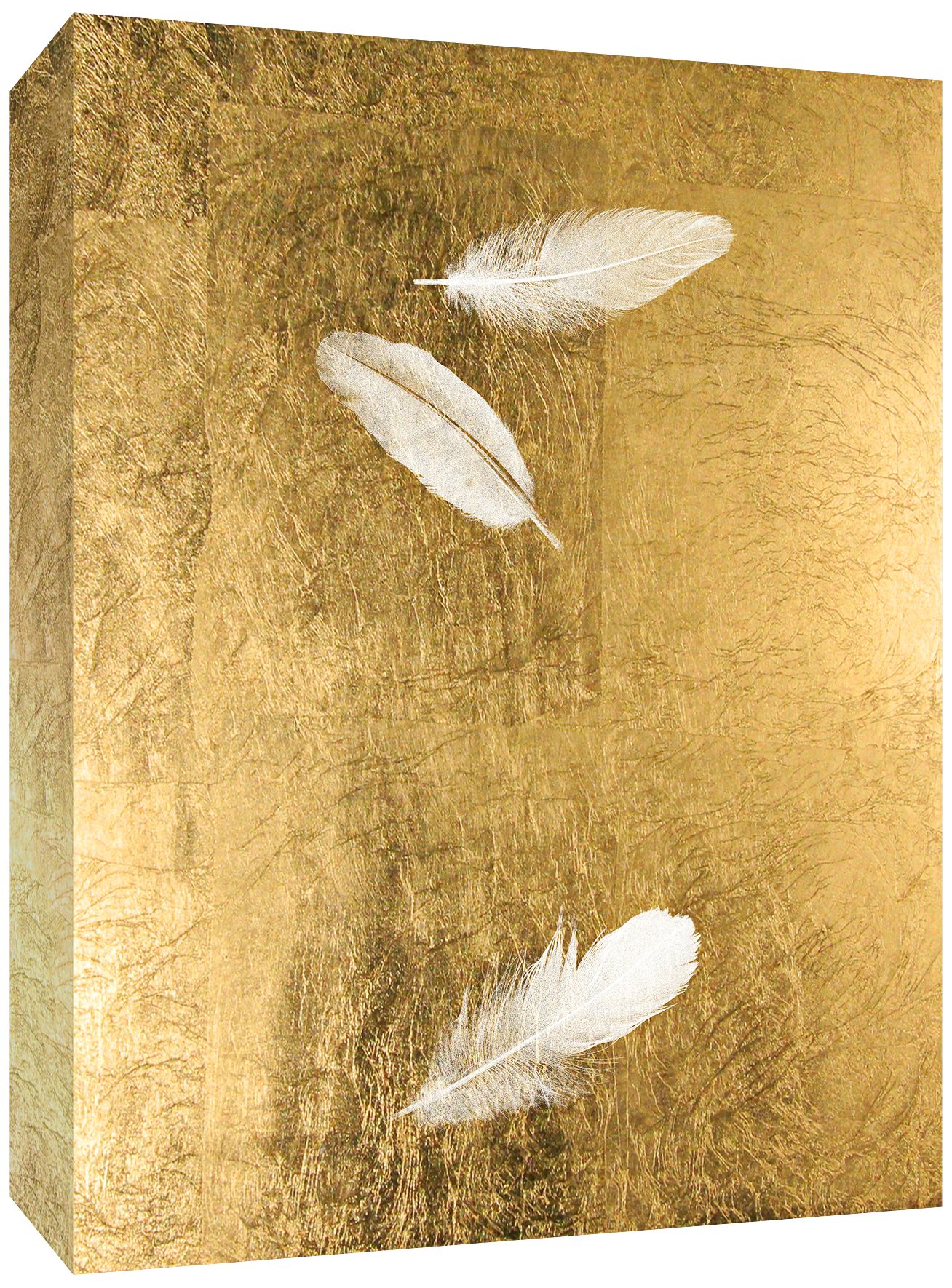 Feathers in Gold II 20" High Canvas Wall Art