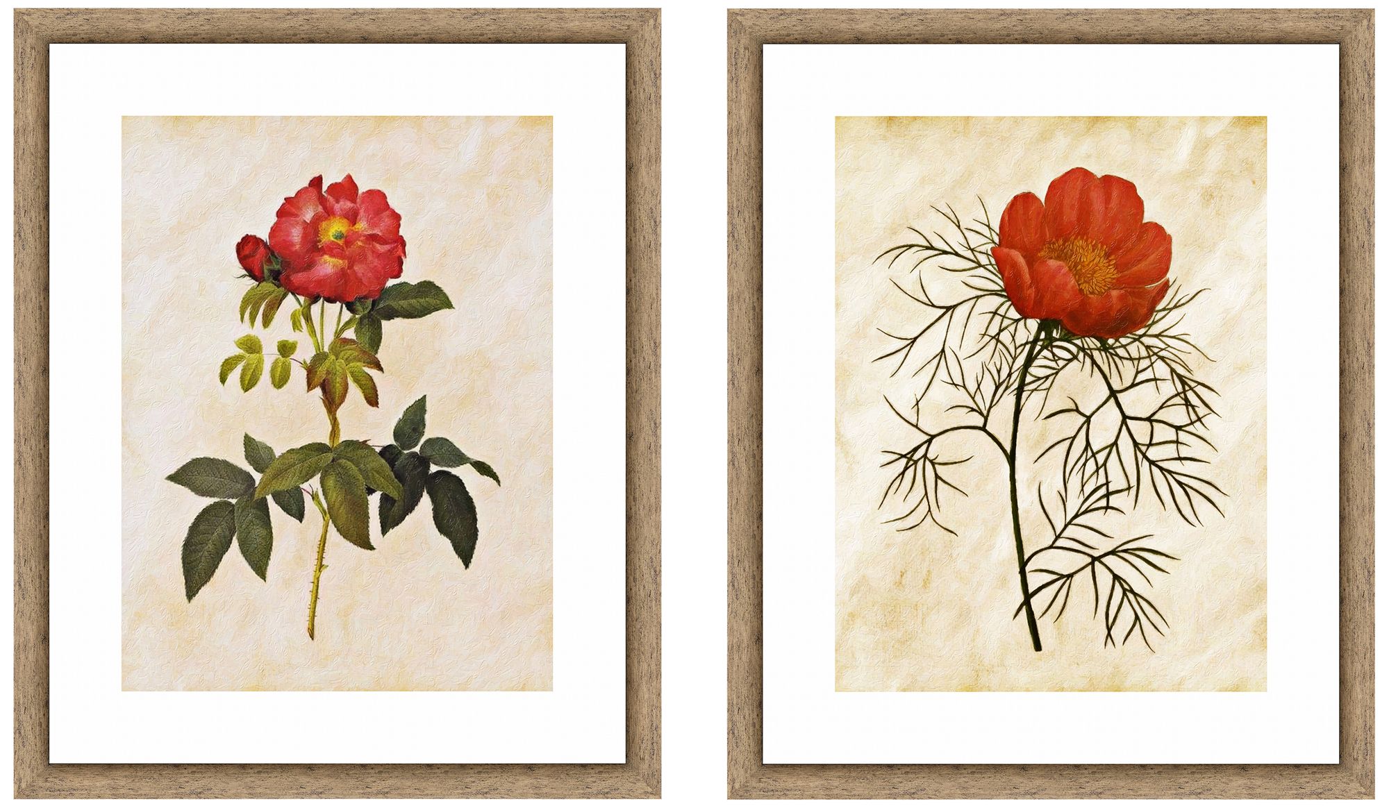 Vintage Roses 22" High 2-Piece Framed Giclee Wall Art Set