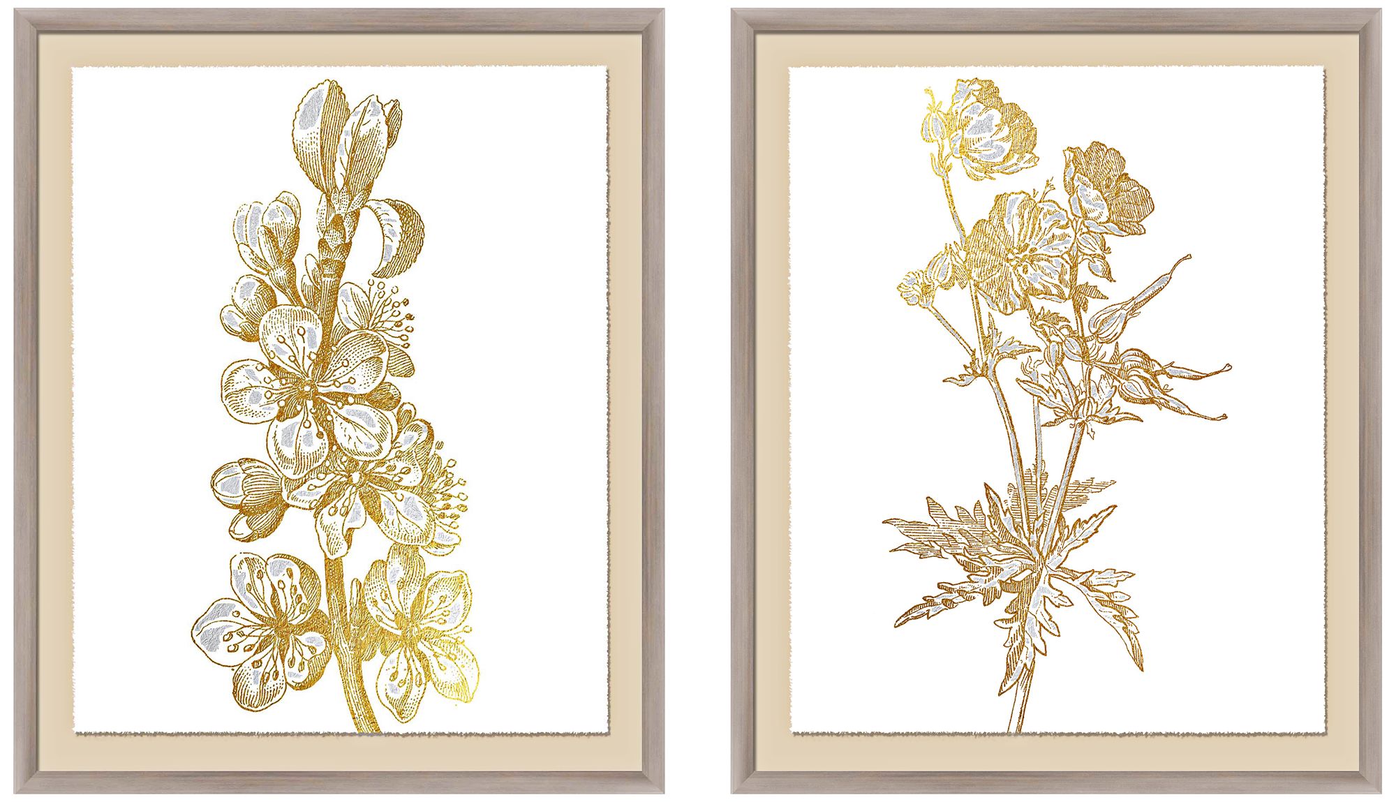 Botanical 23 1/2" High 2Piece Framed Giclee Wall Art Set 12P33