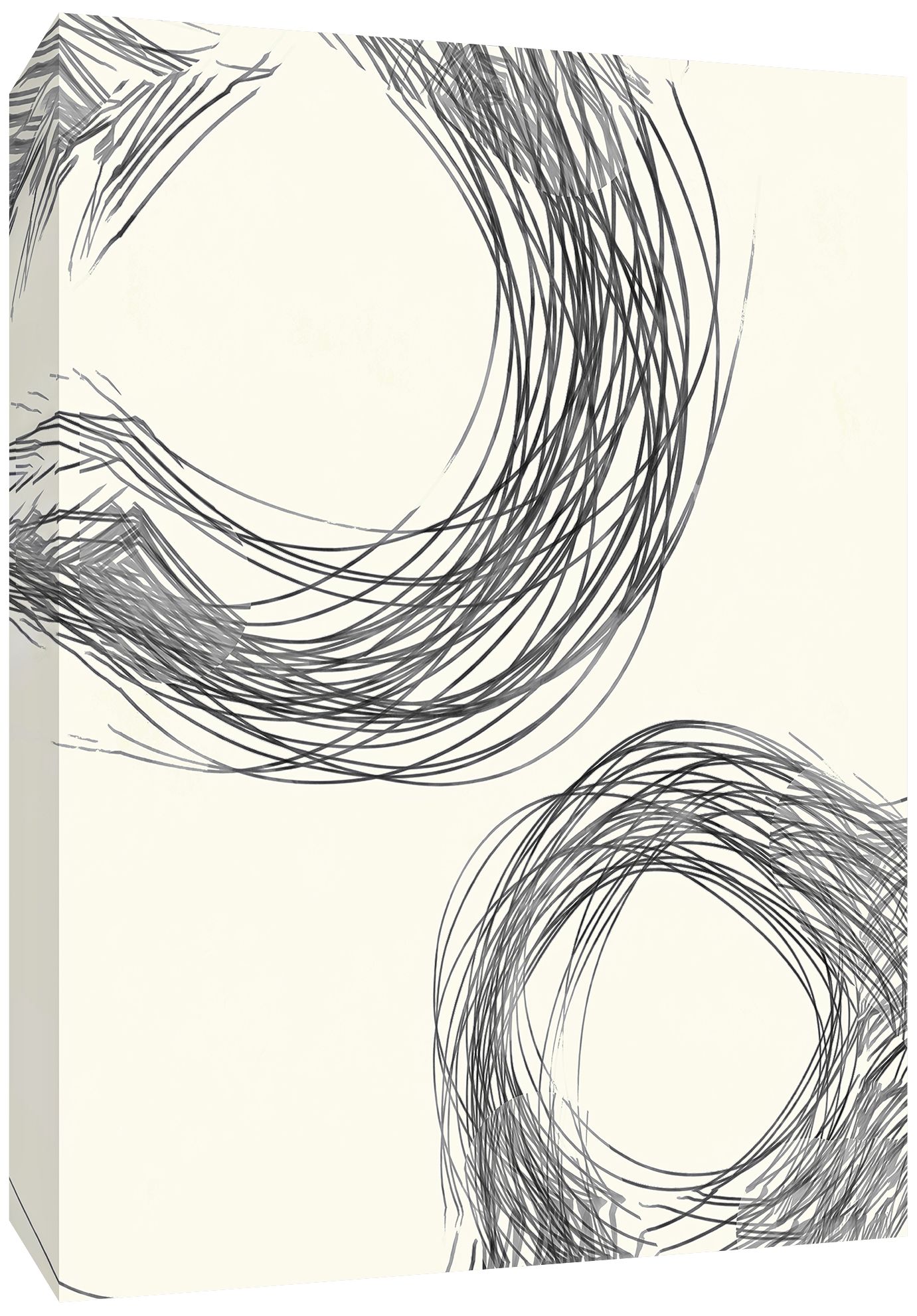 Line Drawing Circles I 40" High Canvas Wall Art