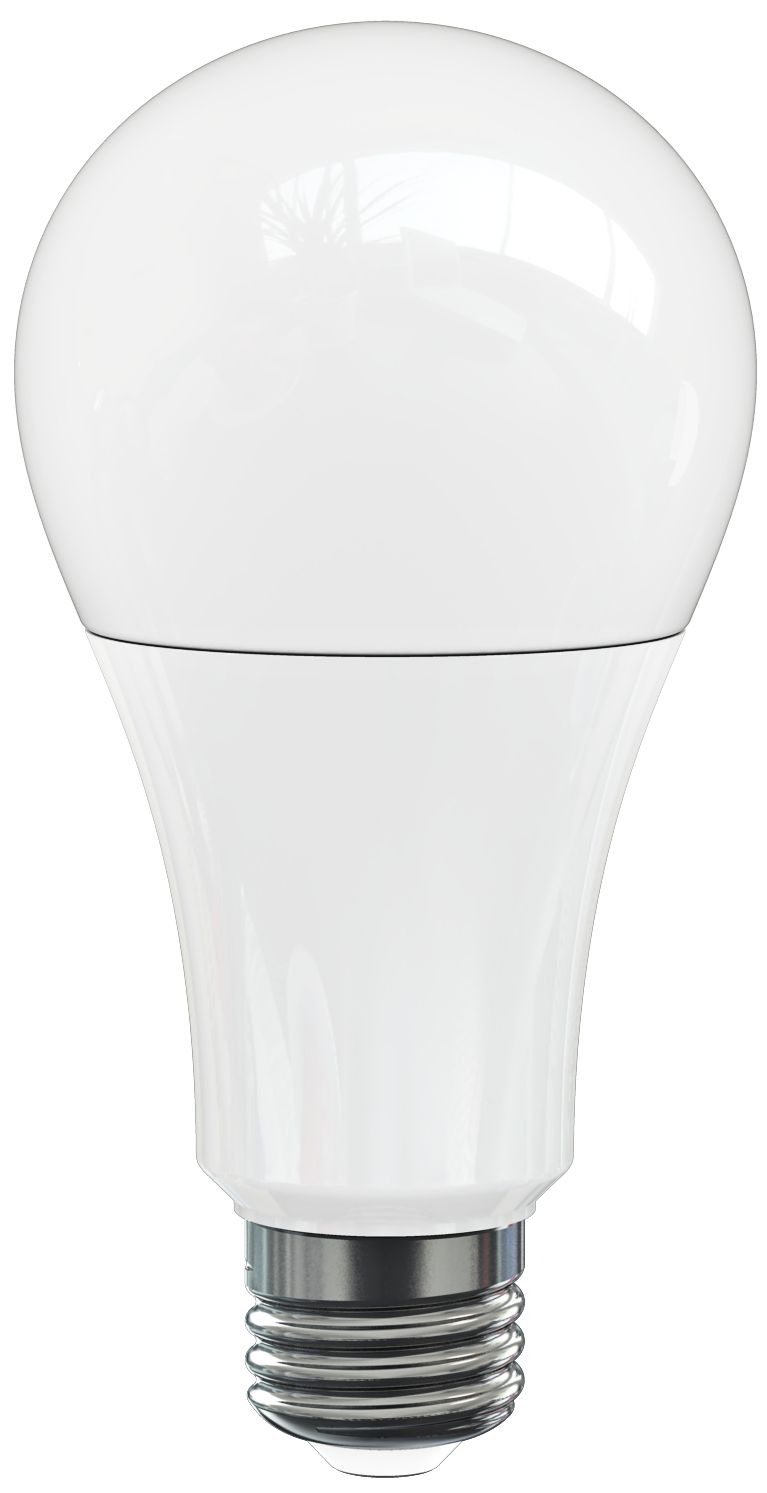 bulb