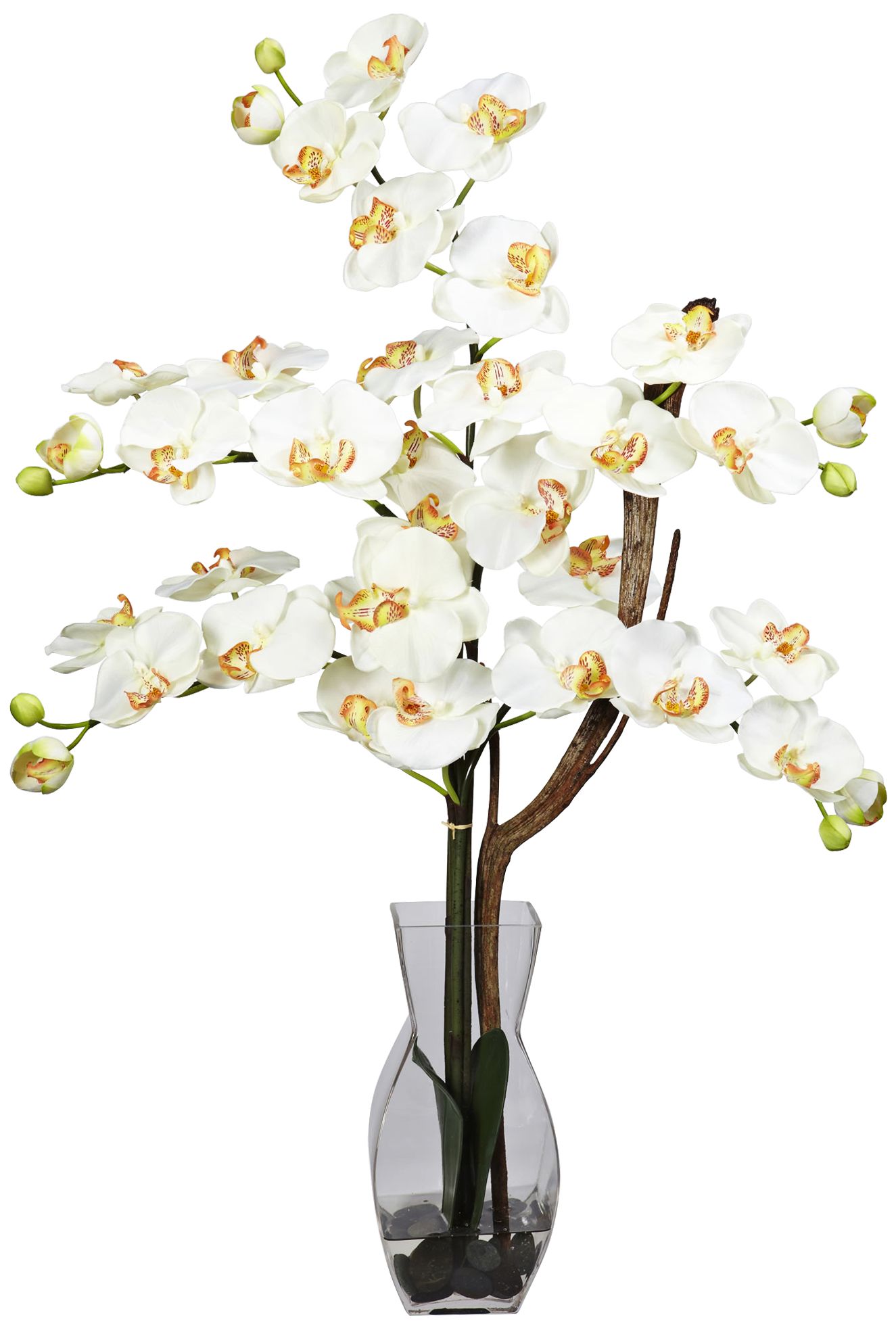 Cream Phalaenopsis Orchid 29 H Faux Flowers In Glass Vase 16j59