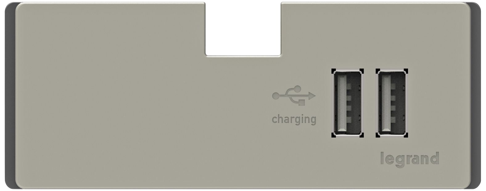 adorneÂ® Titanium 3.1A 2-Port USB Electronic Charger Module