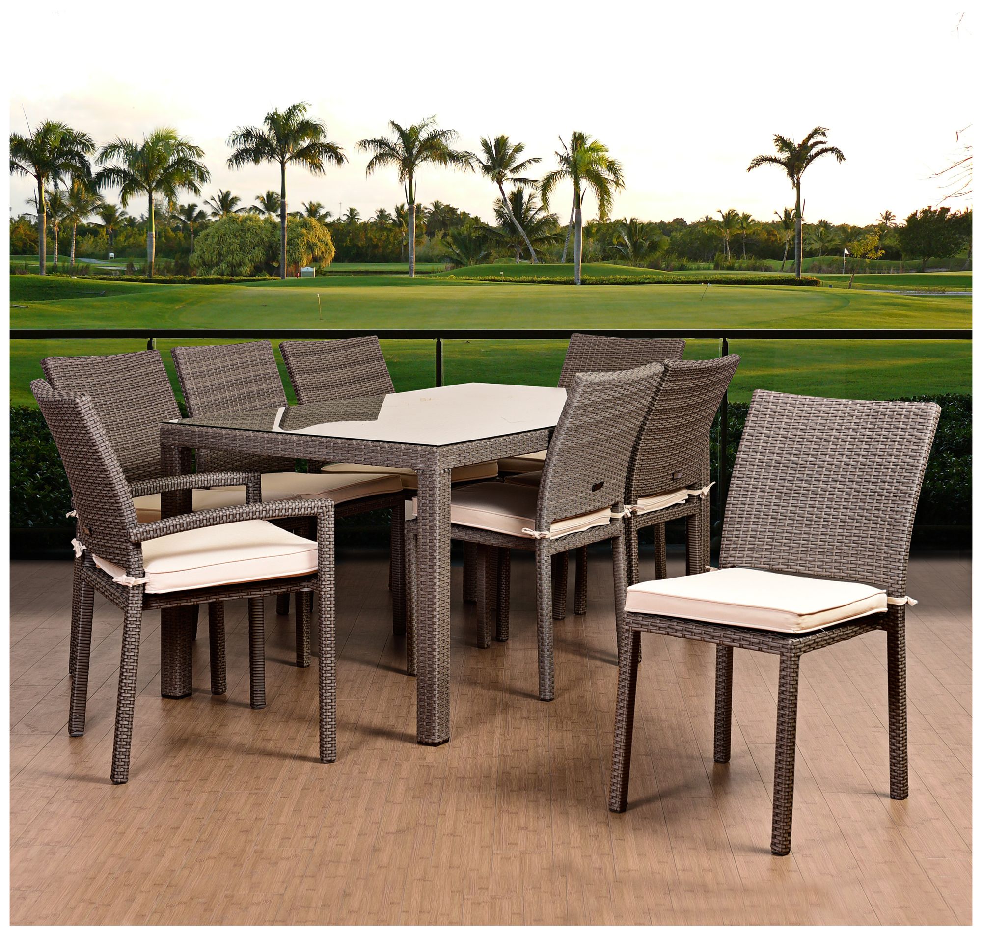 Vicento Gray Wicker 9-Piece Off-White Patio Dining Set