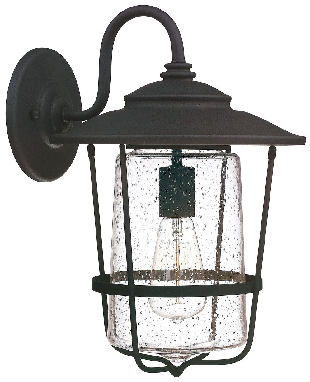 Capital Creekside 16 1/4" High Black Outdoor Wall Light