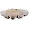 Clam Shell 22 3/4" Wide Stone Accent Bowl by Uttermost