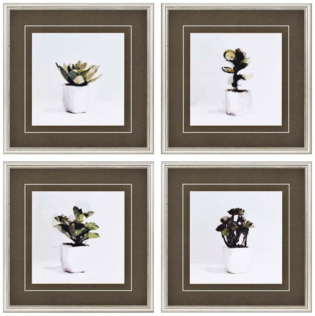 Potted Succulents 20" Square 4-Print Framed Wall Art Set