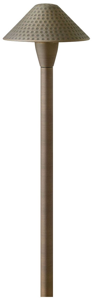Hardy Island 23 1/4"H Matte Bronze Hammered LED Path Light