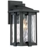 Quoizel Everglade 12 1/4&quot;H Earth Black Outdoor Wall Light