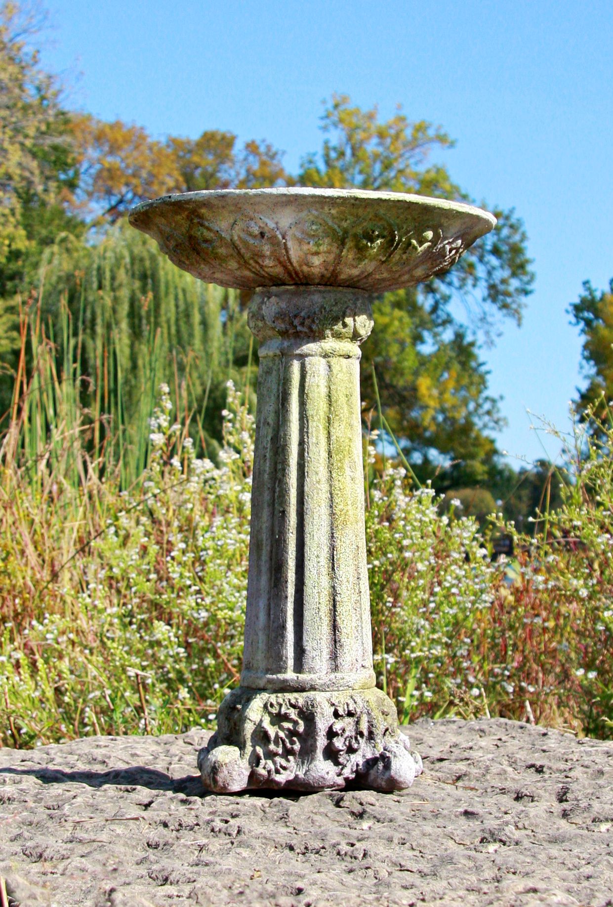 Orlandi Corinthian 22" High White Moss Outdoor Bird Bath