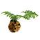 Selloum Philo Leaves 26"W Faux Plant in Wooden Root Ball