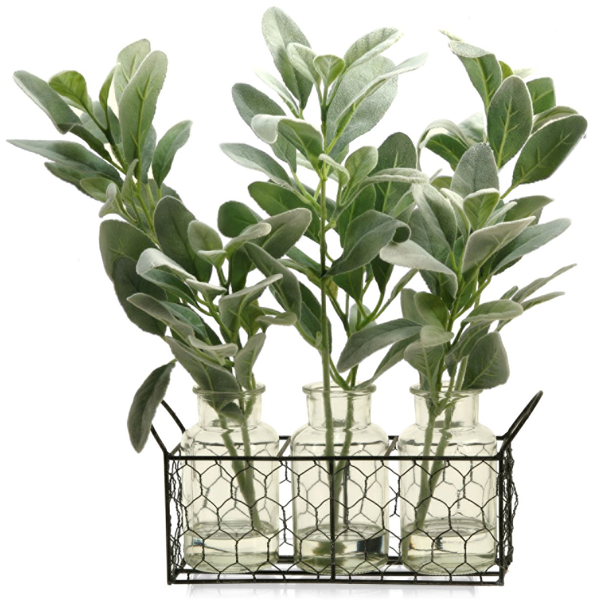 Gray and Green Lamb's Ear Branches 15 1/2