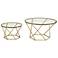 Geometric Glass Top Gold 2-Piece Round Coffee Table Set