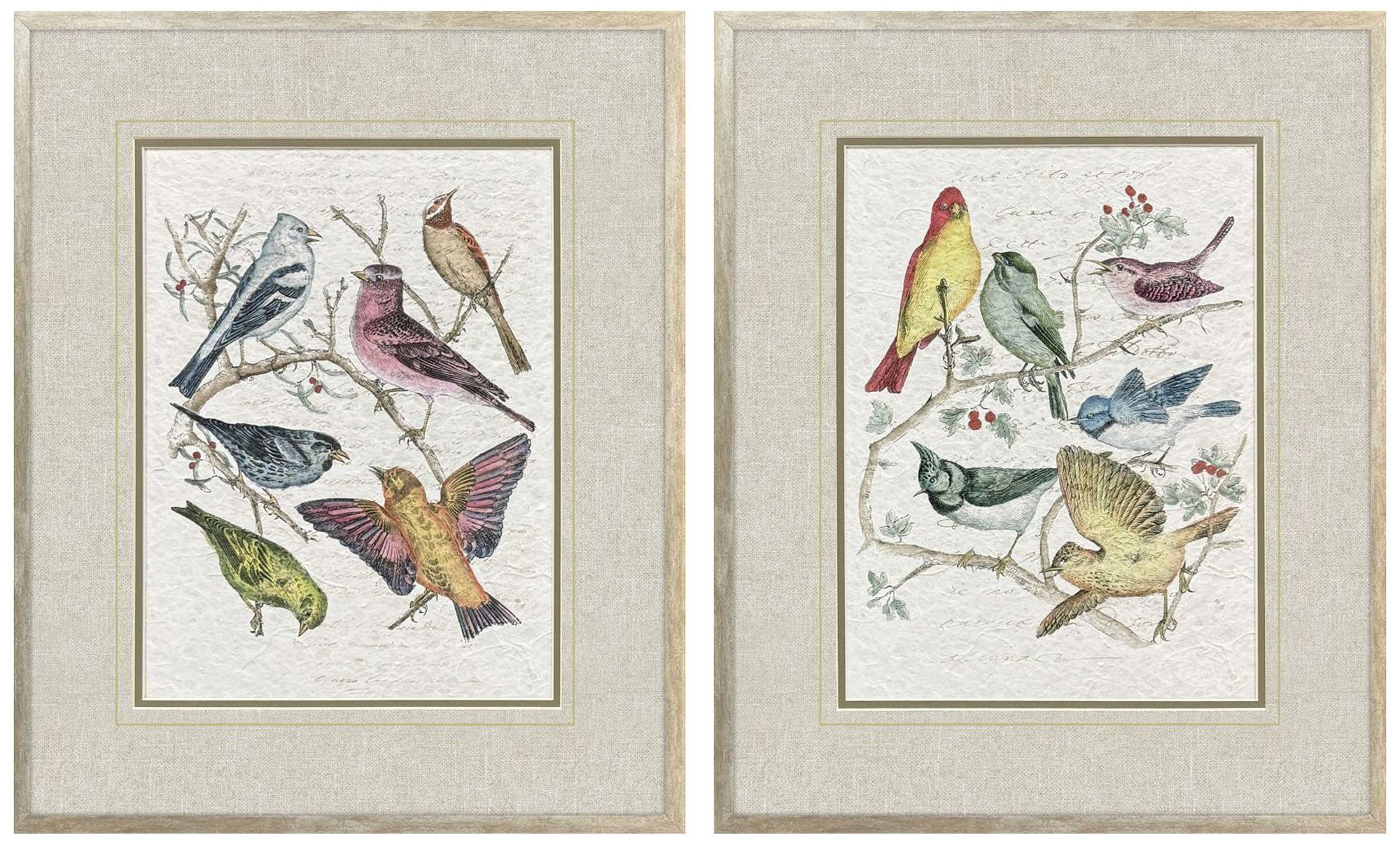 Paragon Bird Variety 19"w X 23"h Traditional Framed Art Set Of 2