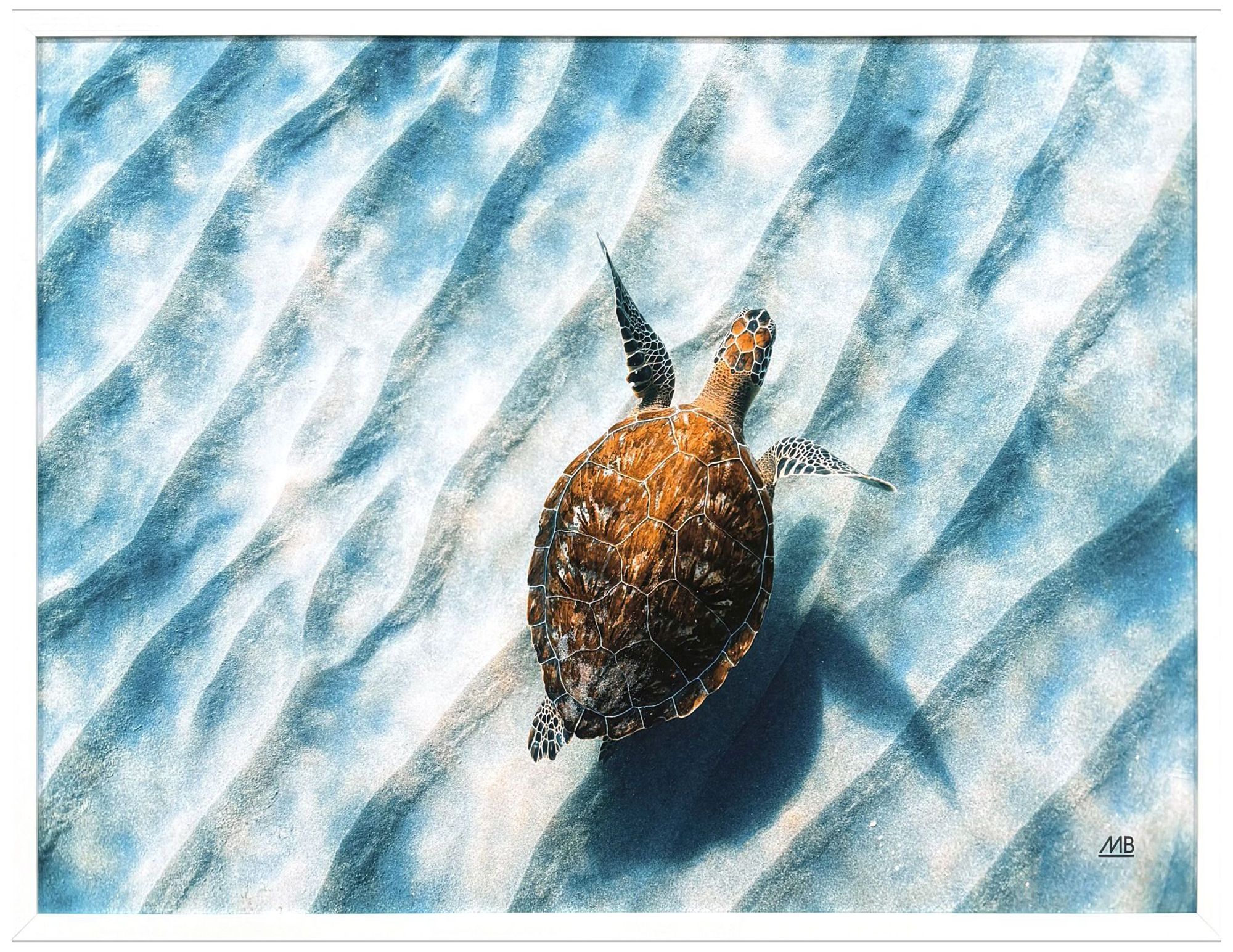Paragon Sandbar Sea Turtle 50"w X 38"h Coastal Framed Art