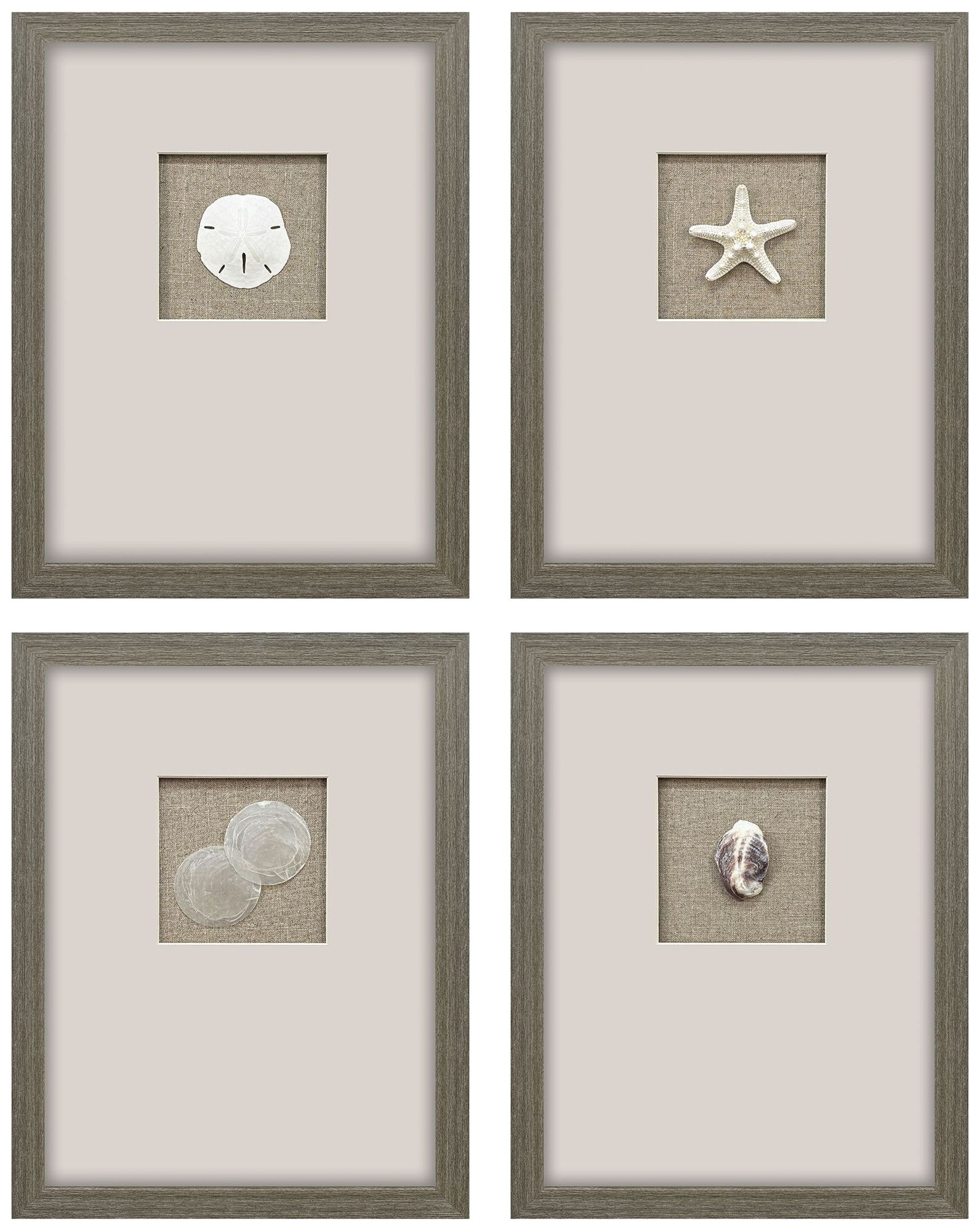 Paragon Natural Elements 14"w X 18"h Coastal Framed Art Set Of 4
