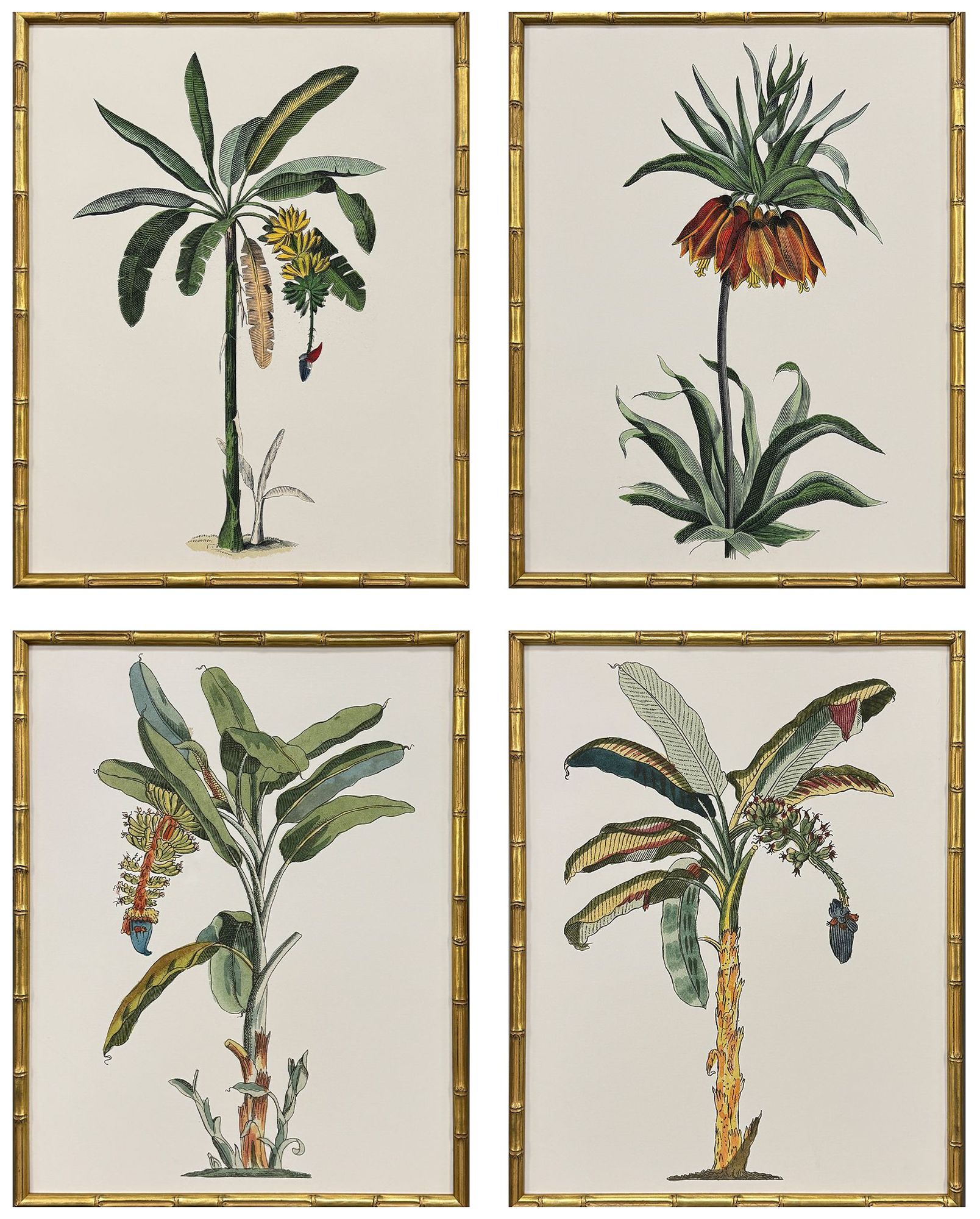 Paragon Contemporary Palm I 19"w X 25"h Coastal Framed Art Set Of 4