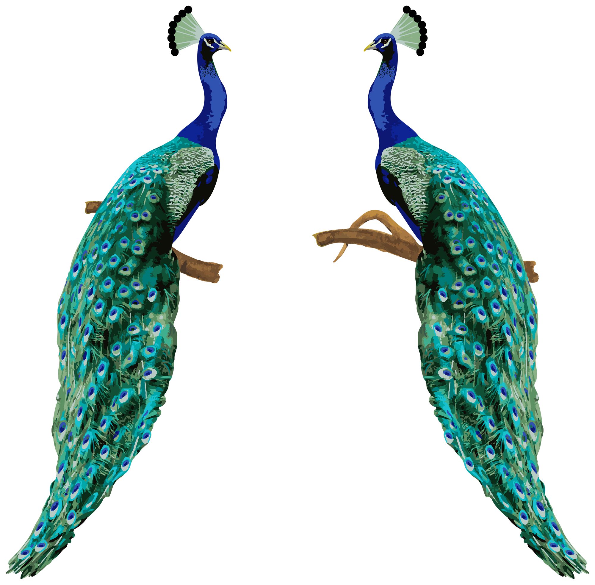 Perching Peacocks Set of 2 Designer Wall Decals