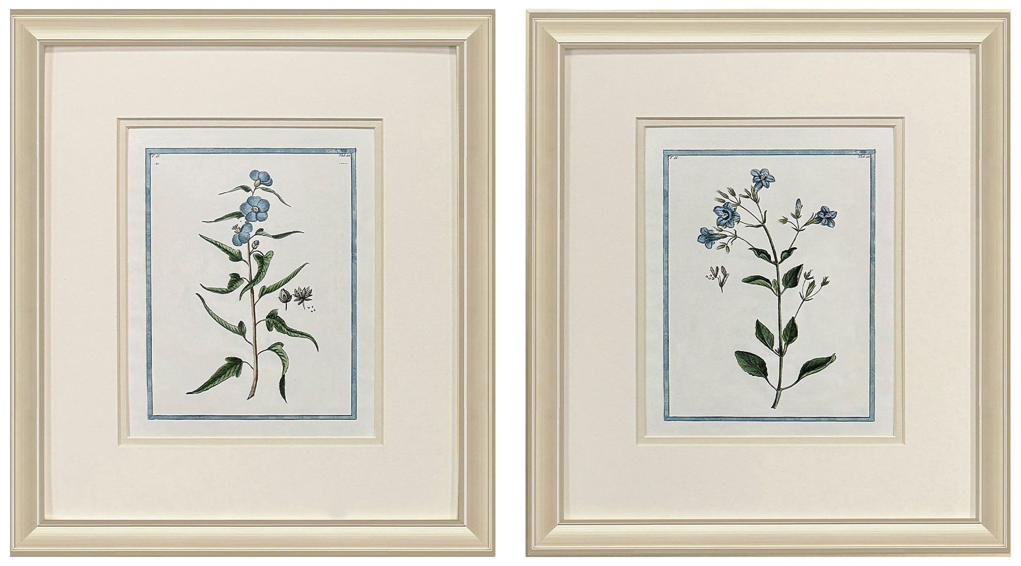 Paragon Shabby Chic Botanical 15"w X 17"h Traditional Framed Art Set Of 2