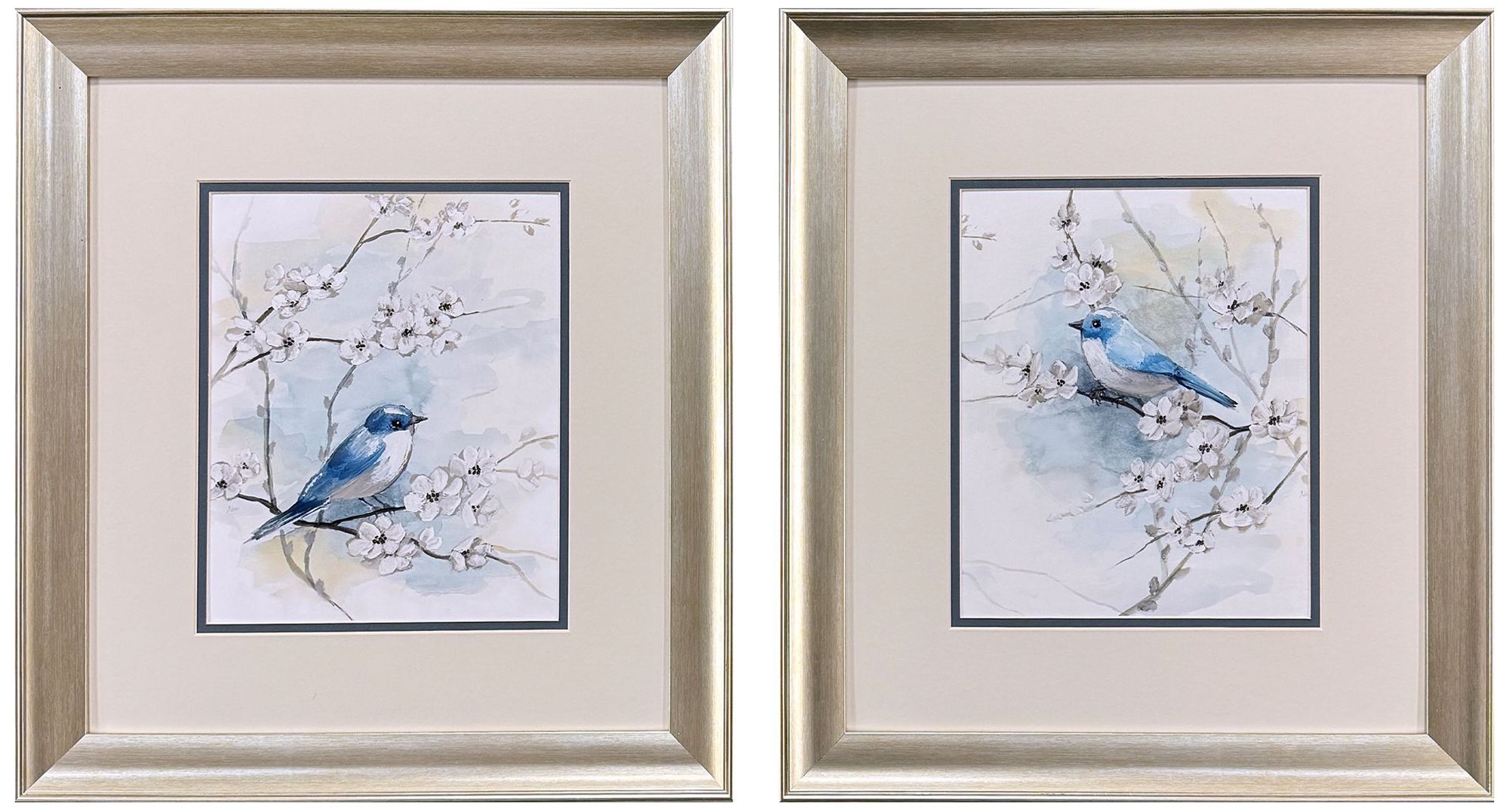Paragon Blossoms & Bluebird 16"w X 18"h Traditional Framed Art Set Of 2