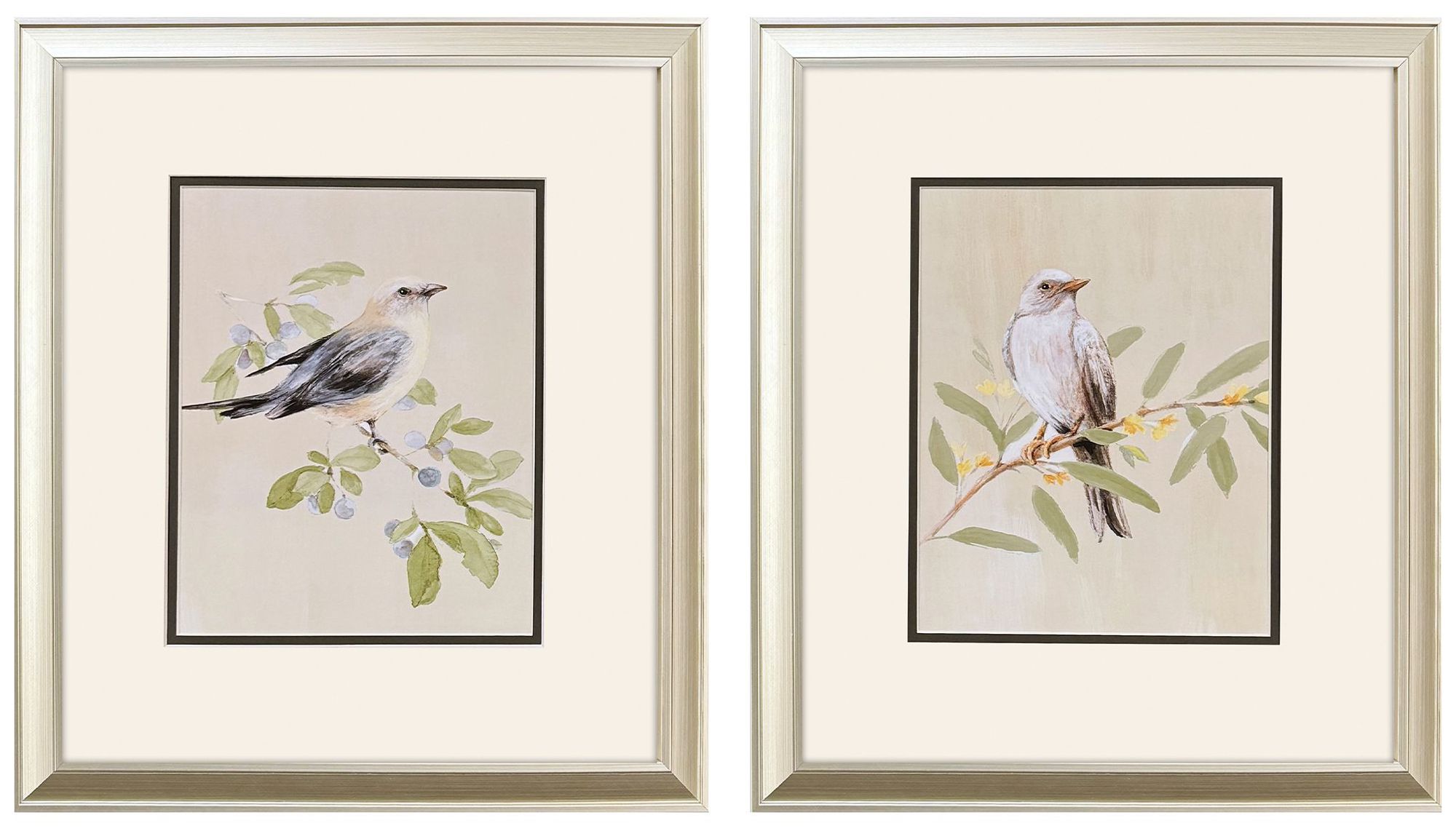 Paragon Botanical Birds 15"w X 17"h Transitional Framed Art Set Of 2