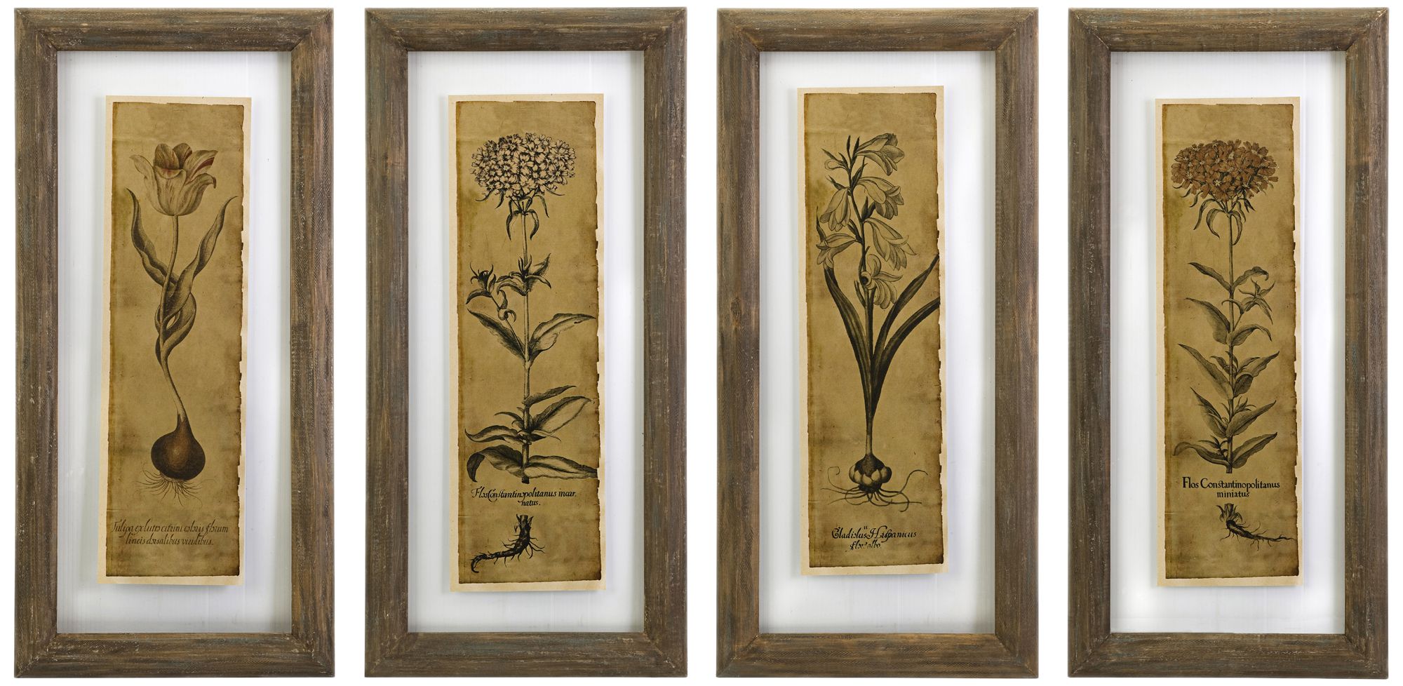 Set of 4 Cassander 30 1/2" High Double Glass Wall Art